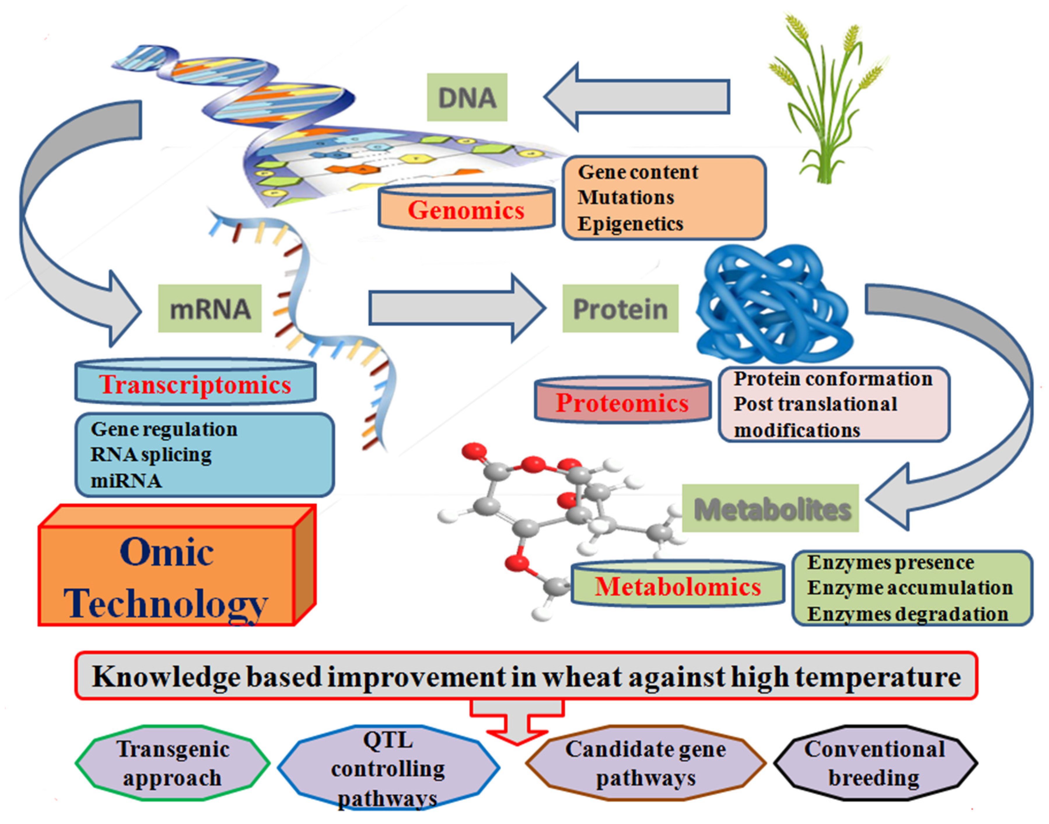 Plants 10 00043 g008