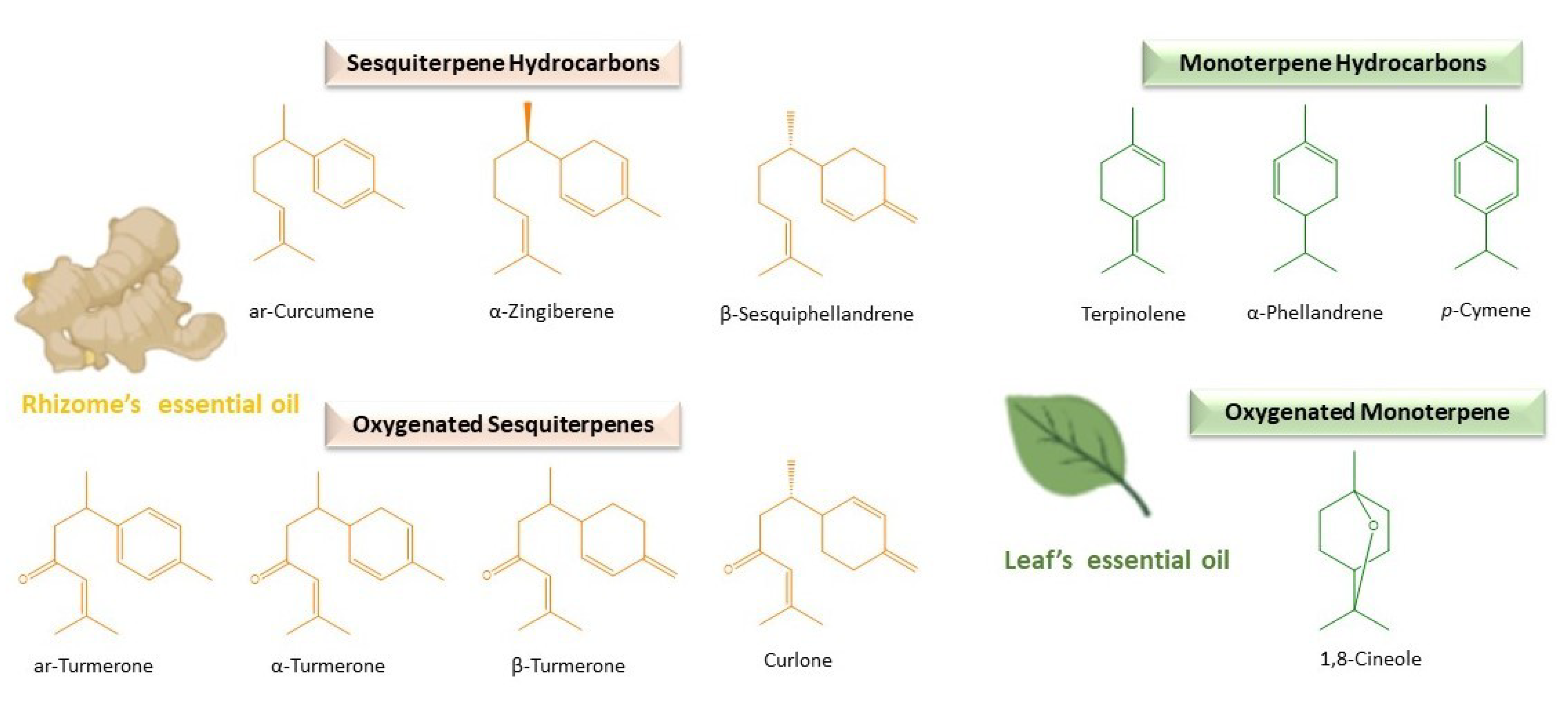 Plants 10 00044 g001