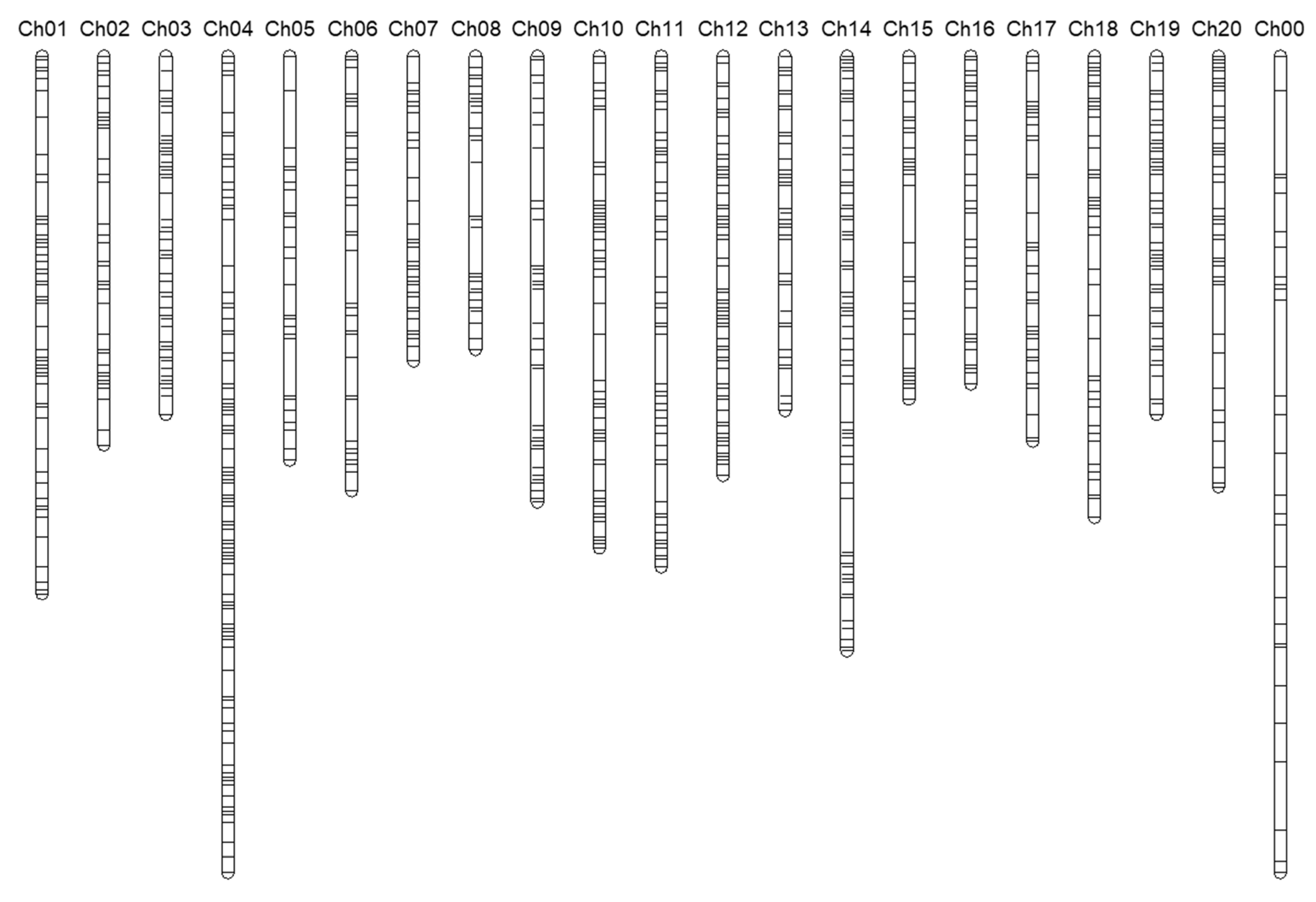 Plants 10 00056 g001 Plants 10 00056 g001
