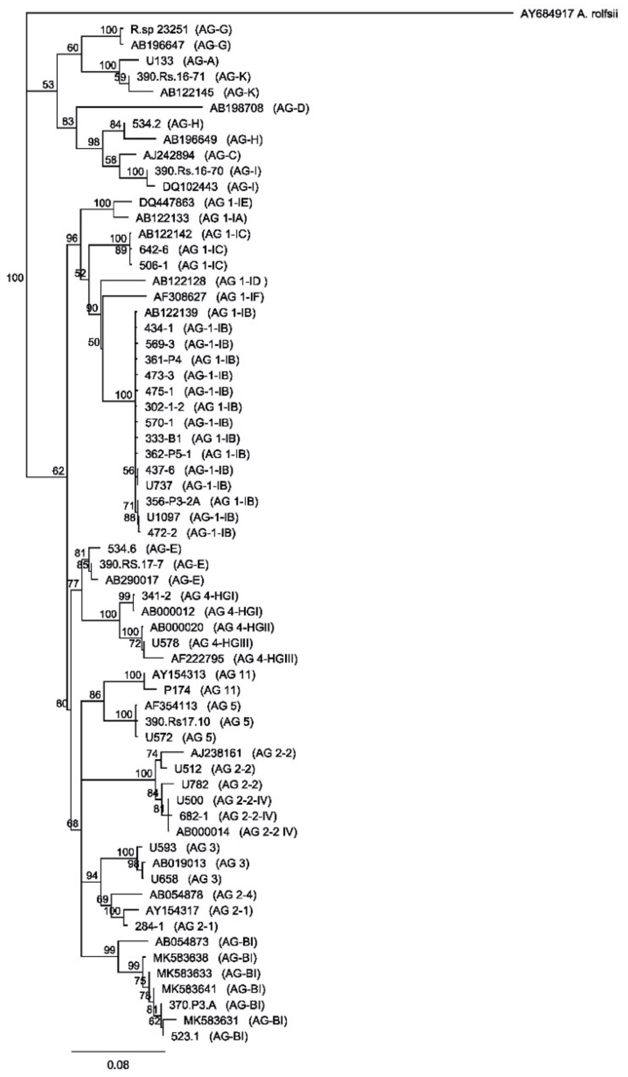 Plants 10 00057 g001 Plants 10 00057 g001