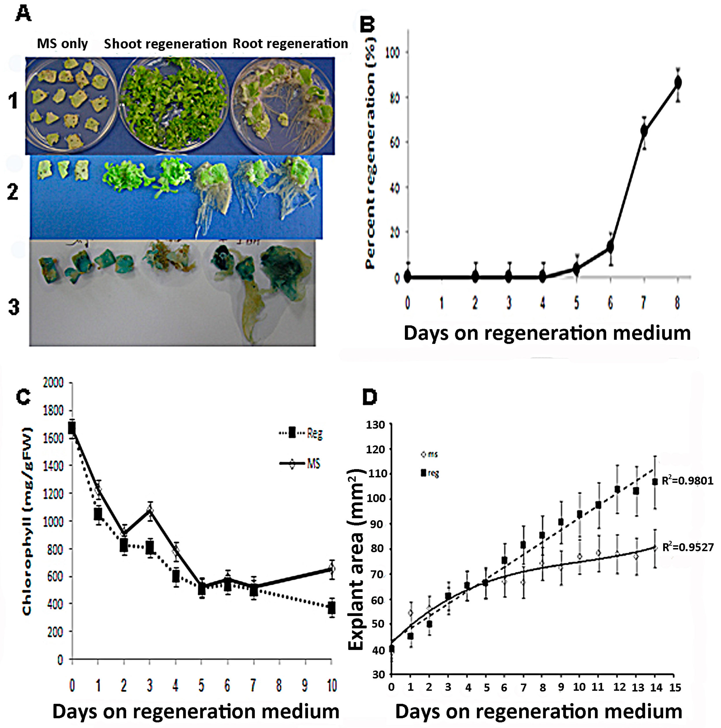Plants 10 00058 g001