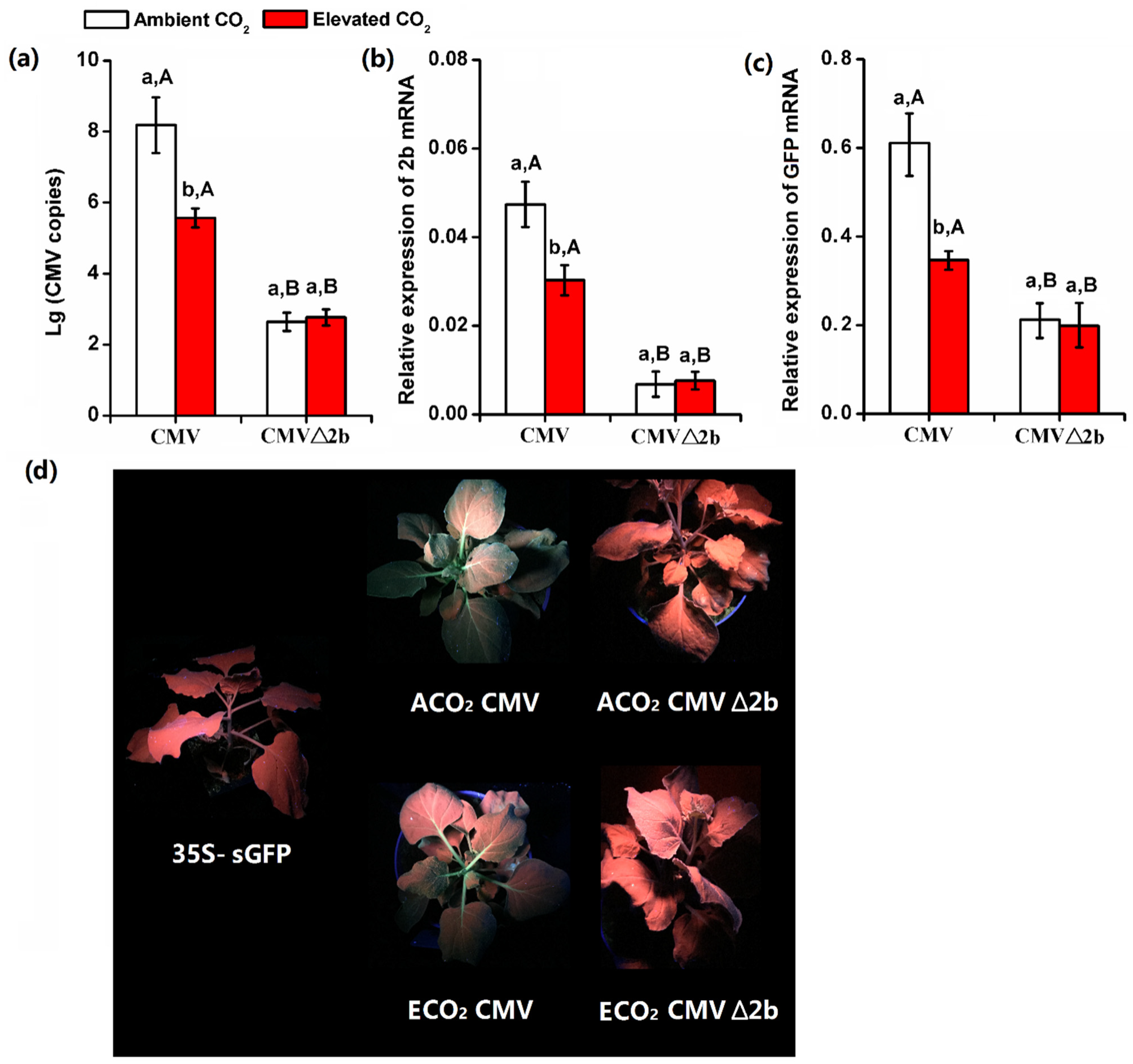 Plants 10 00059 g003