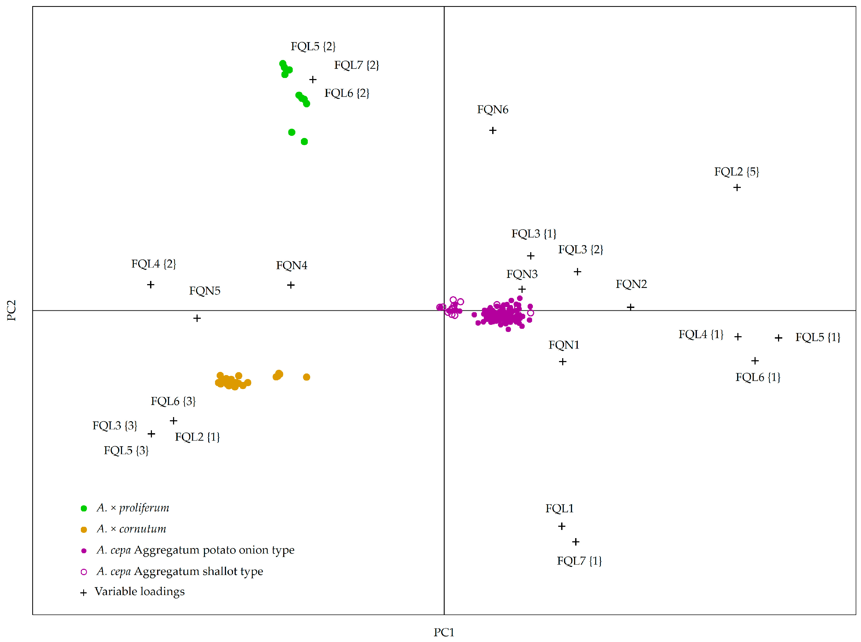 Plants 10 00060 g001