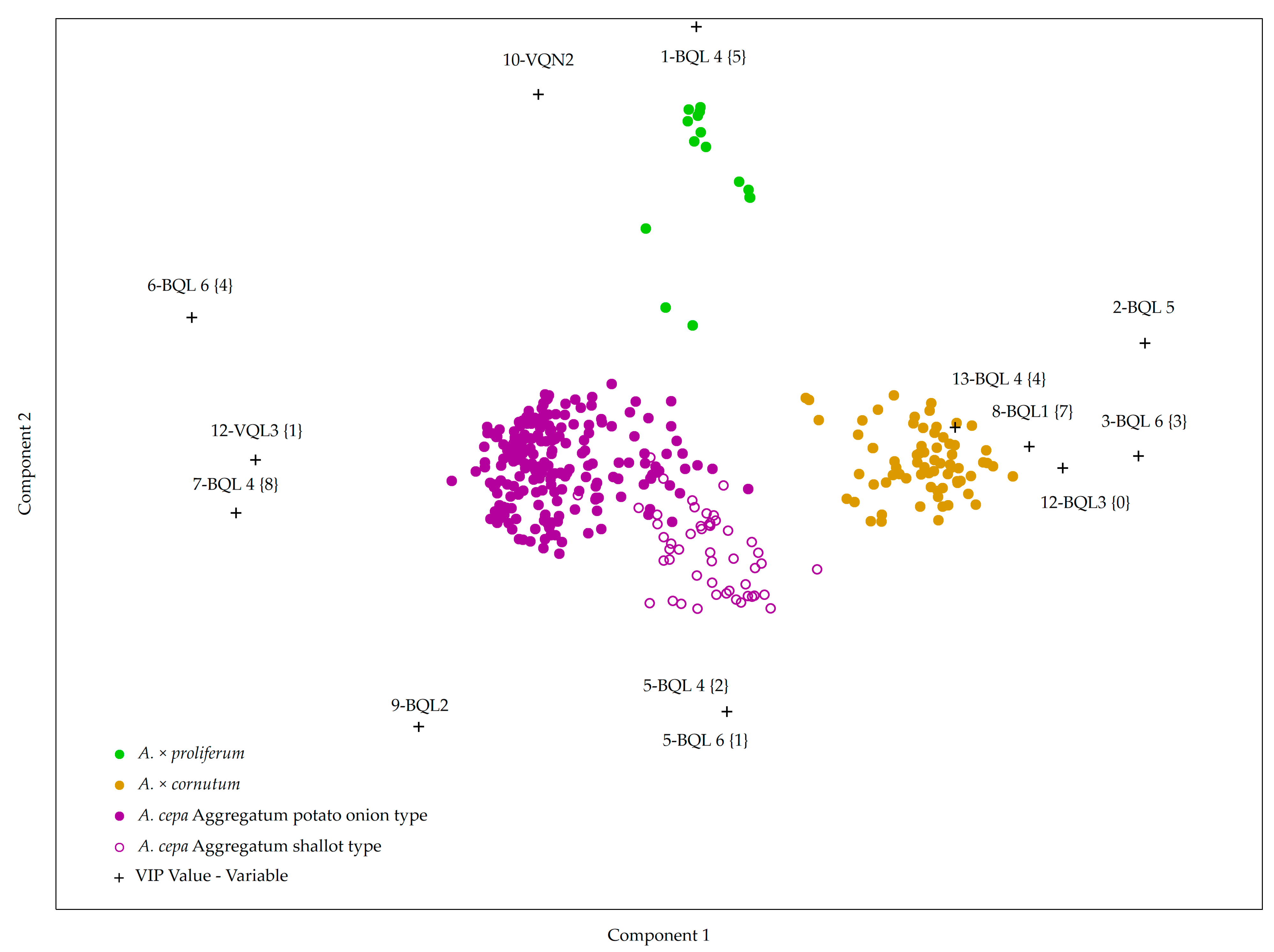 Plants 10 00060 g004
