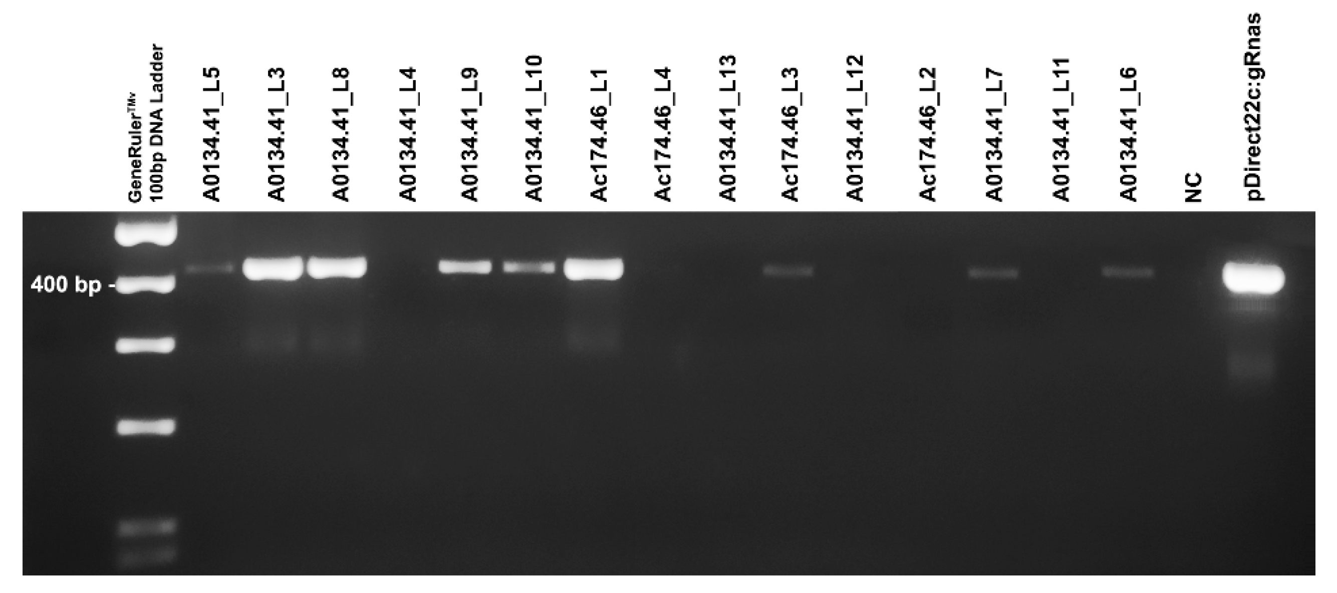 Plants 10 00062 g003