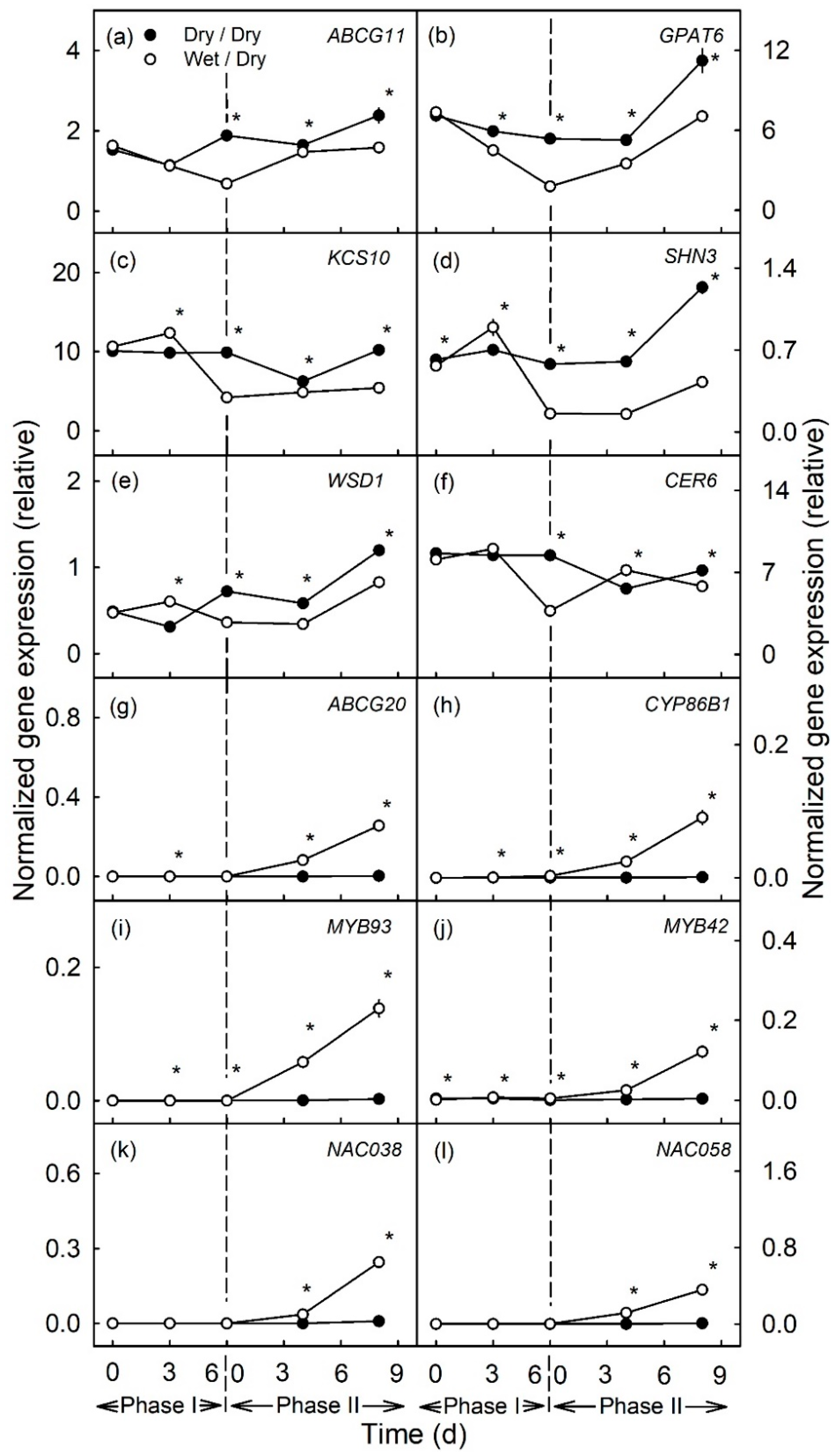 Plants 10 00065 g001