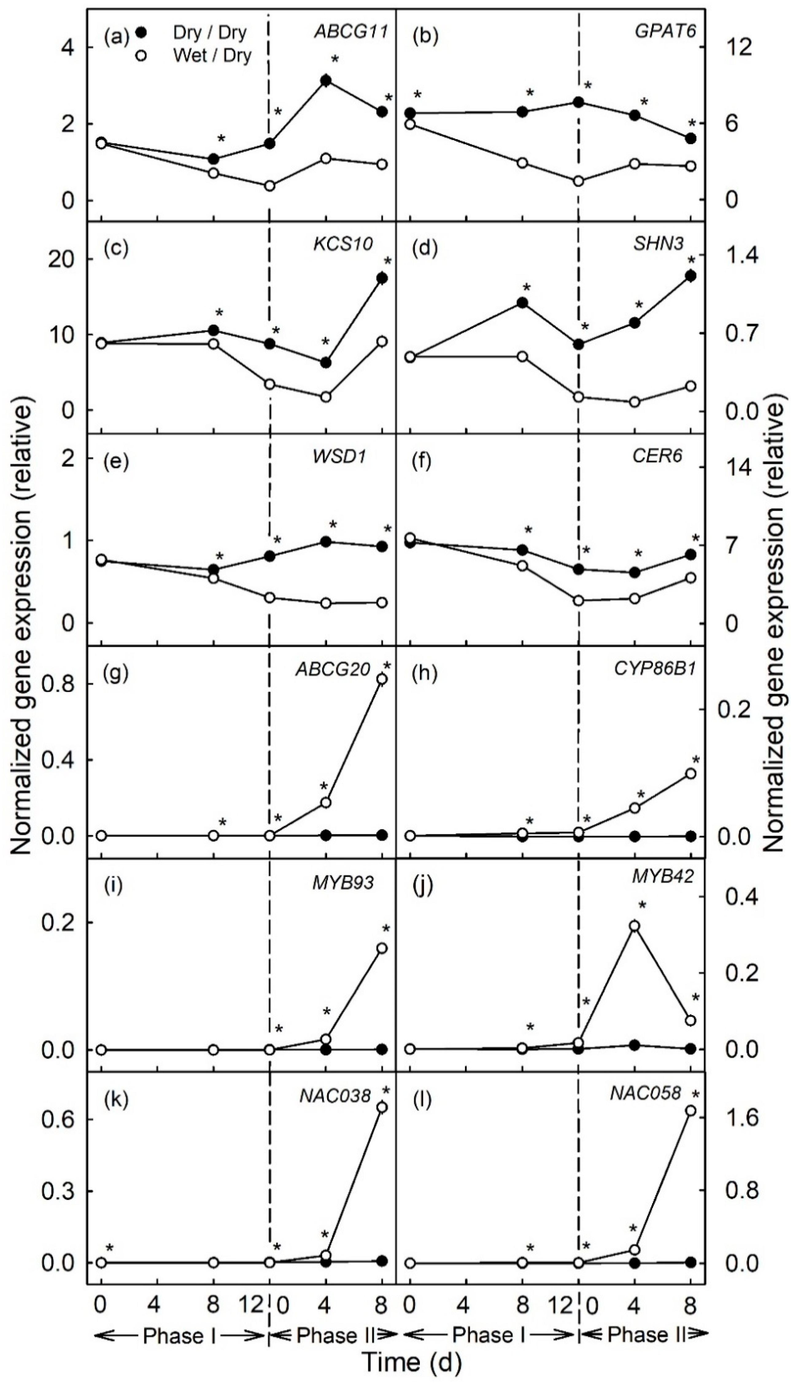 Plants 10 00065 g002