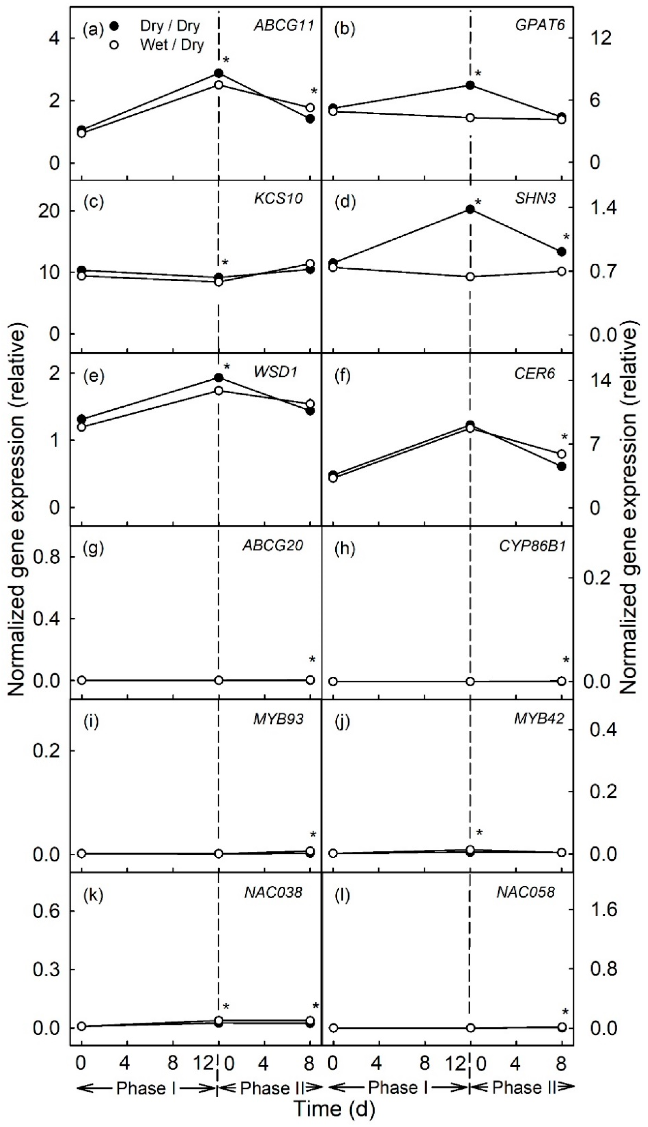 Plants 10 00065 g004