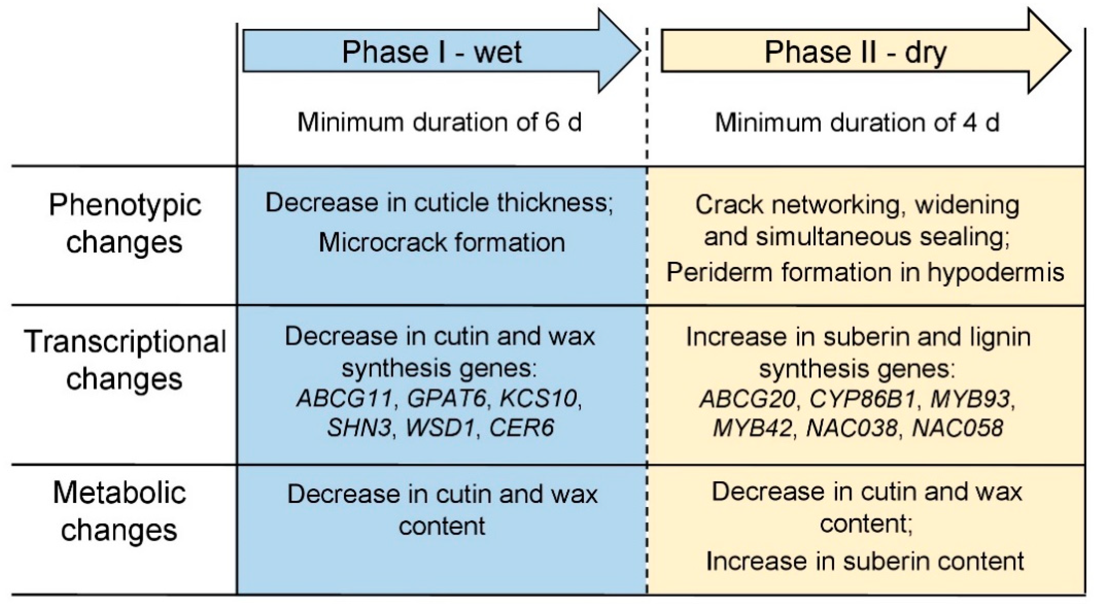 Plants 10 00065 g010