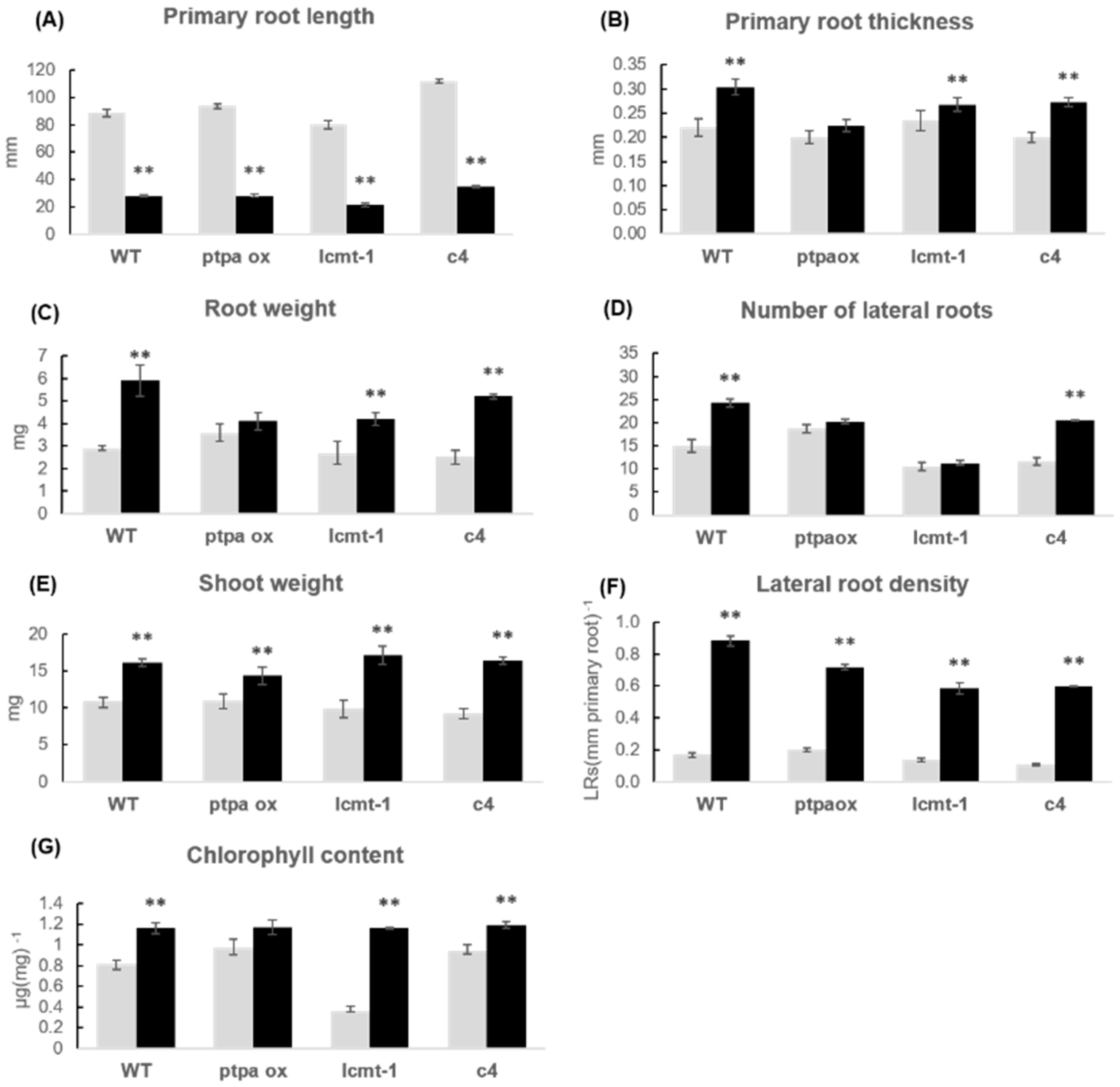 Plants 10 00066 g004