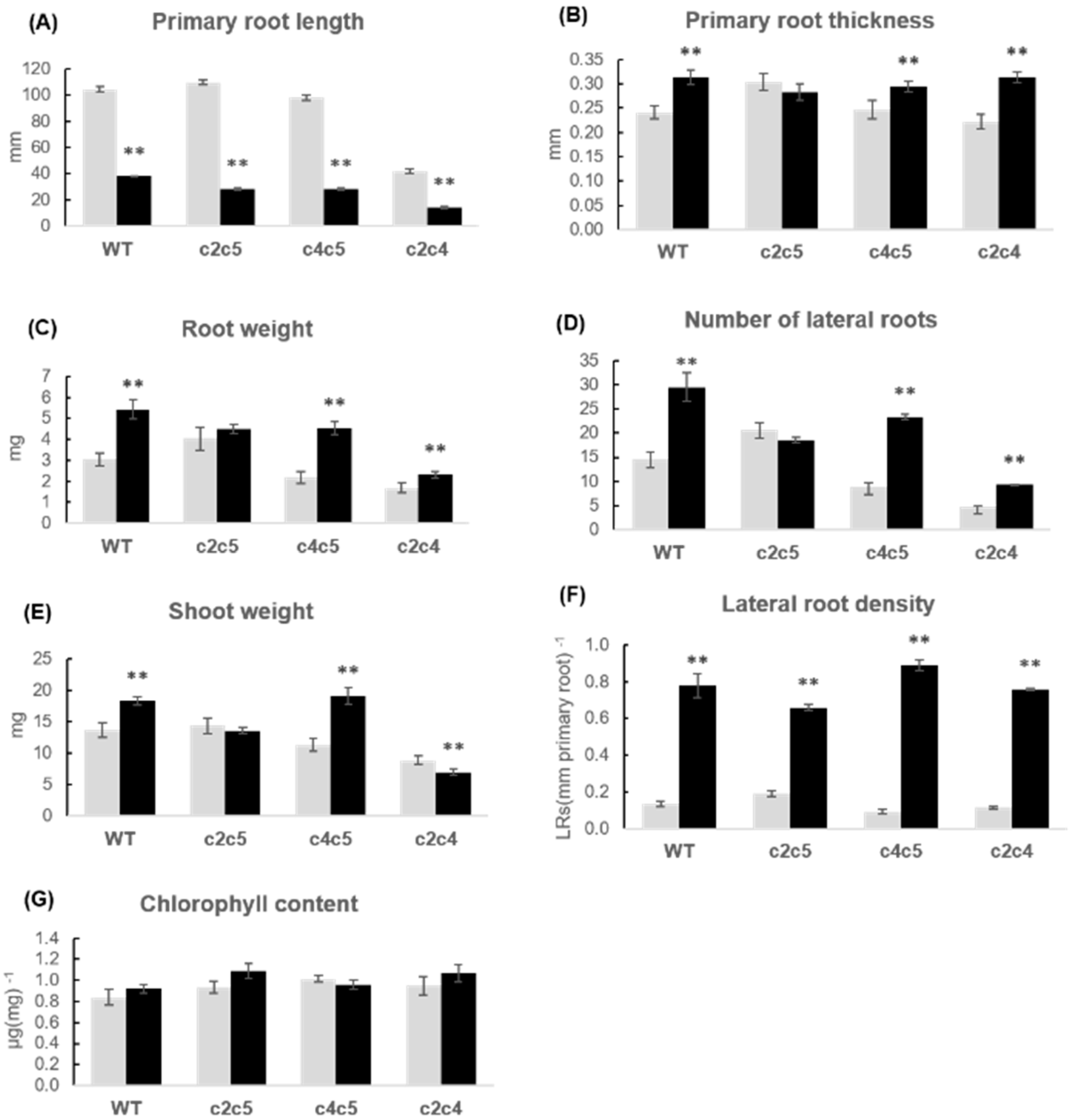 Plants 10 00066 g006