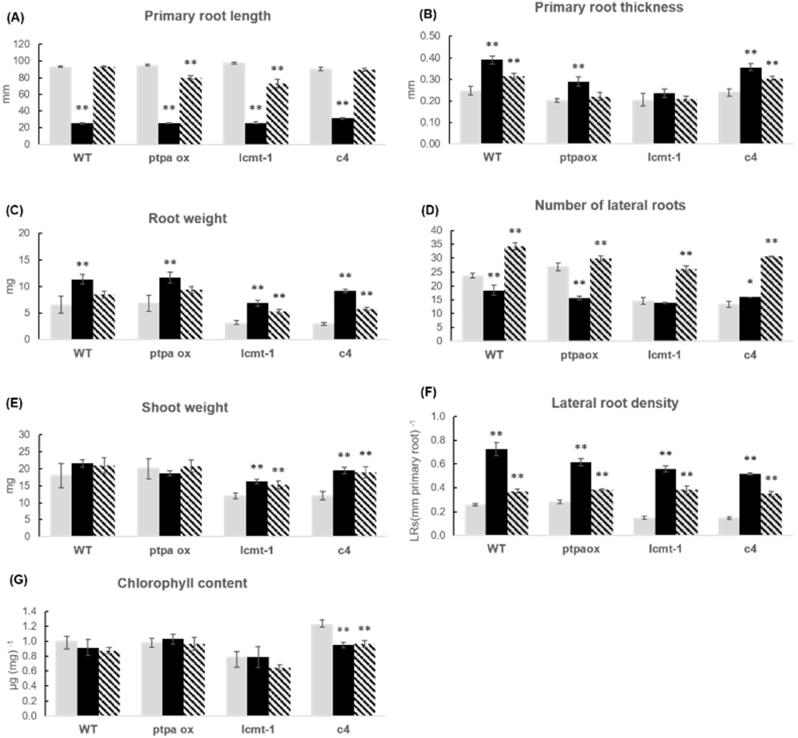 Plants 10 00066 g008