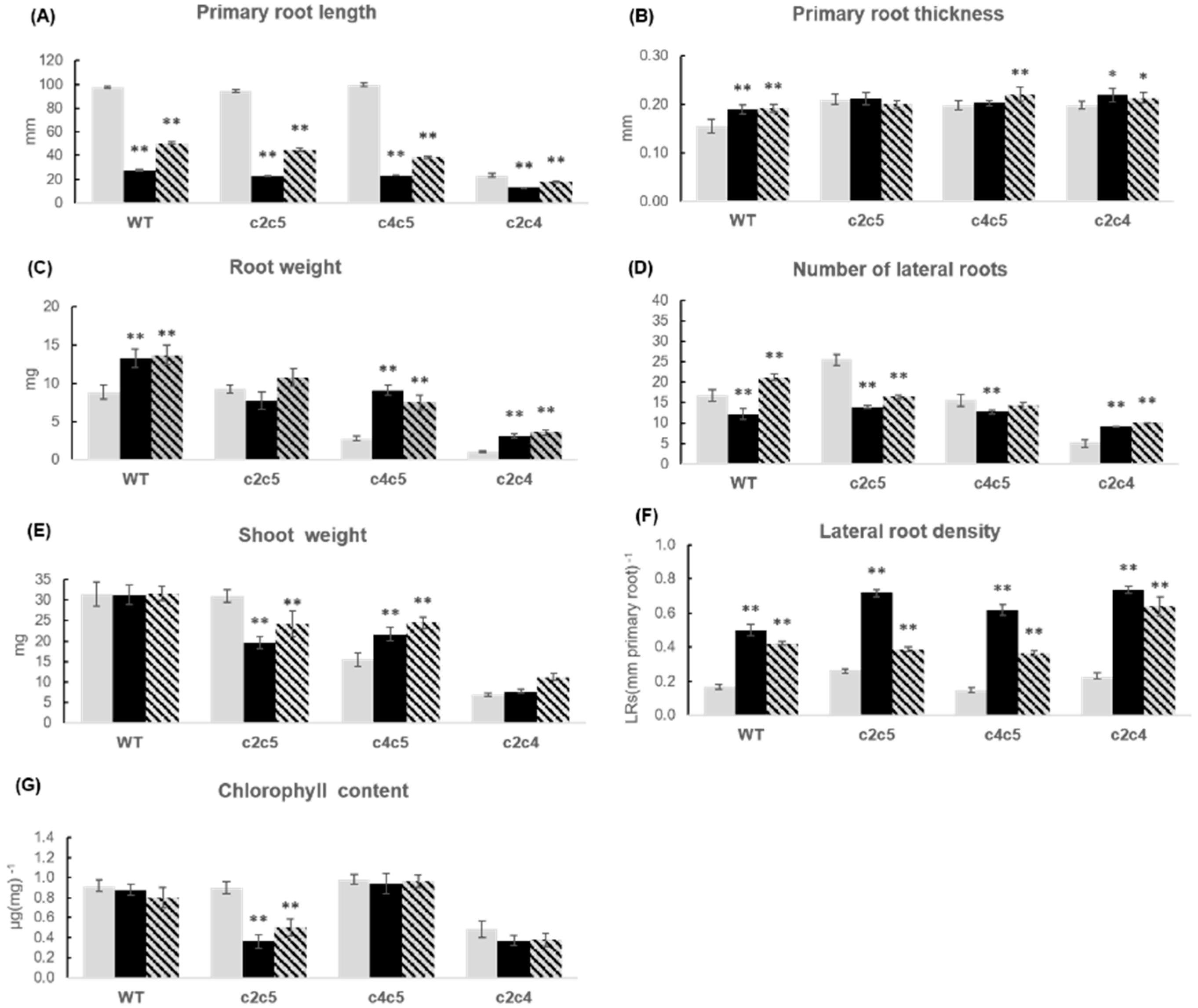 Plants 10 00066 g010