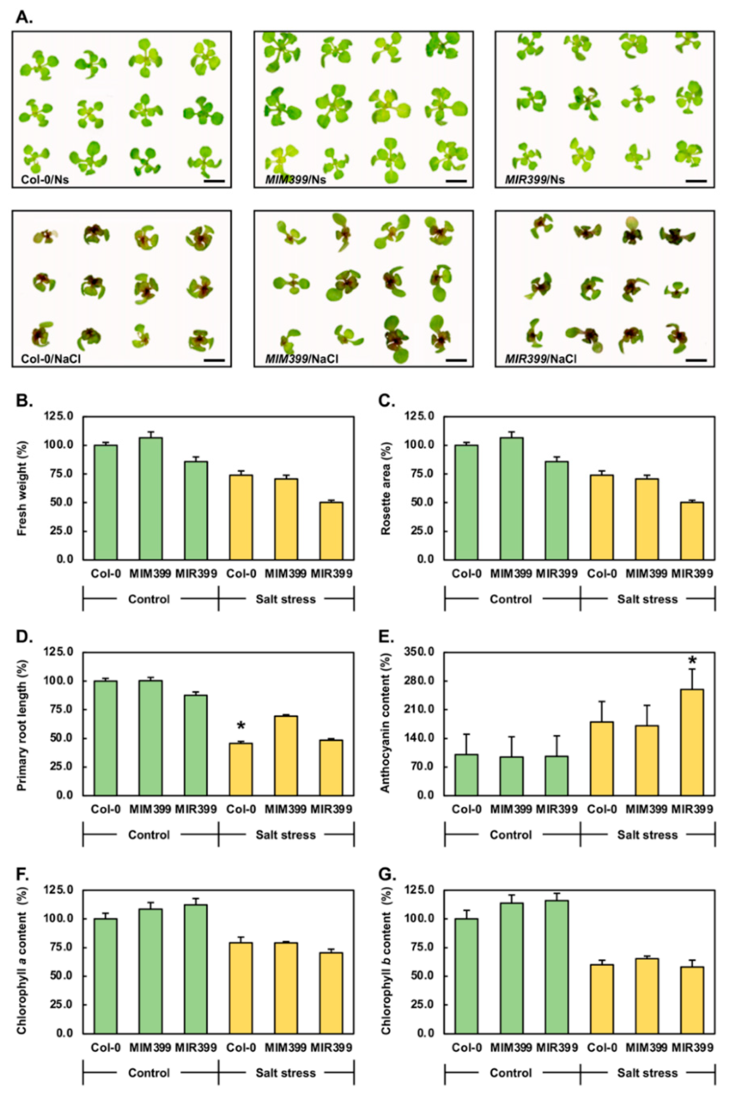 Plants 10 00073 g002