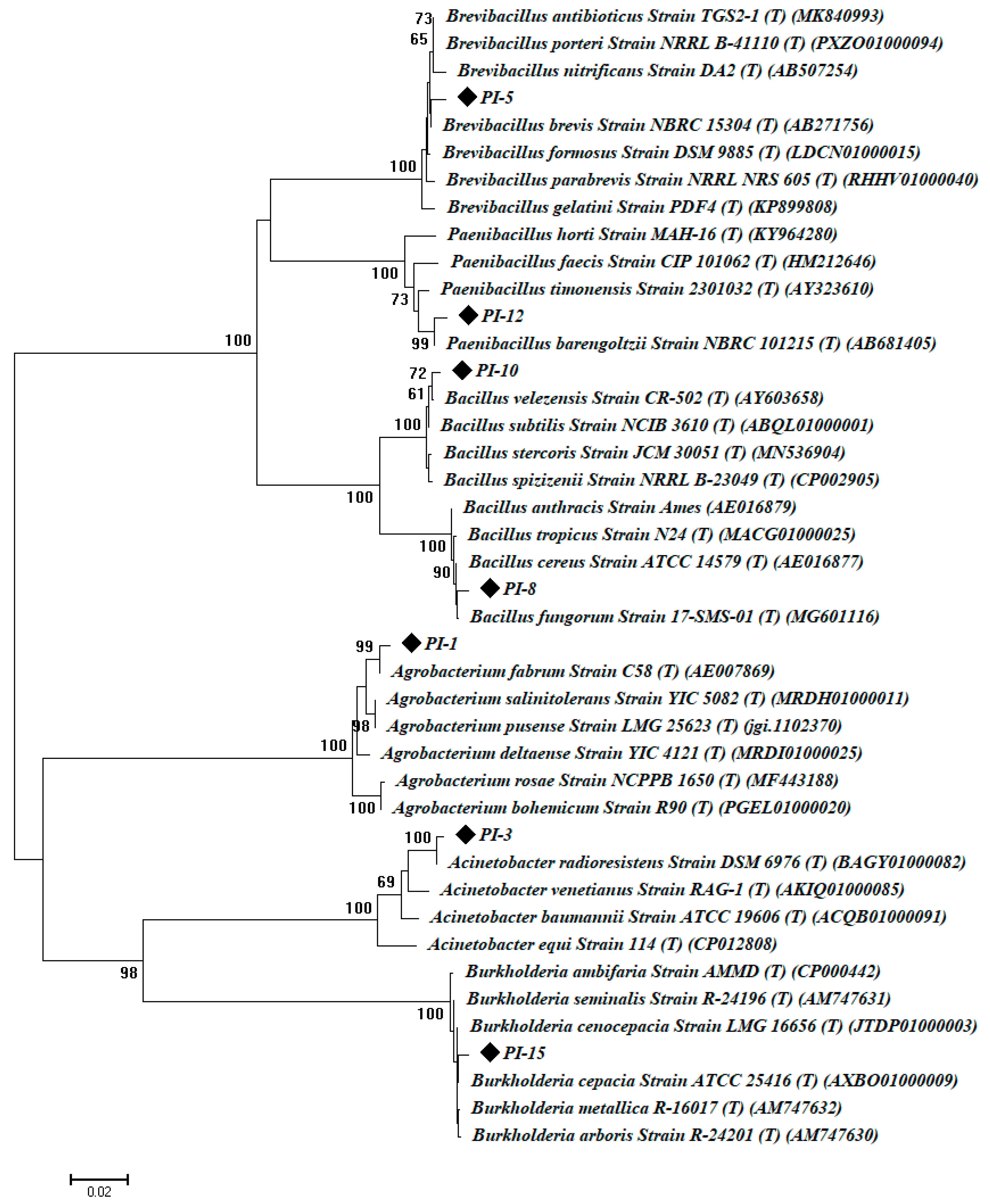 Plants 10 00076 g001