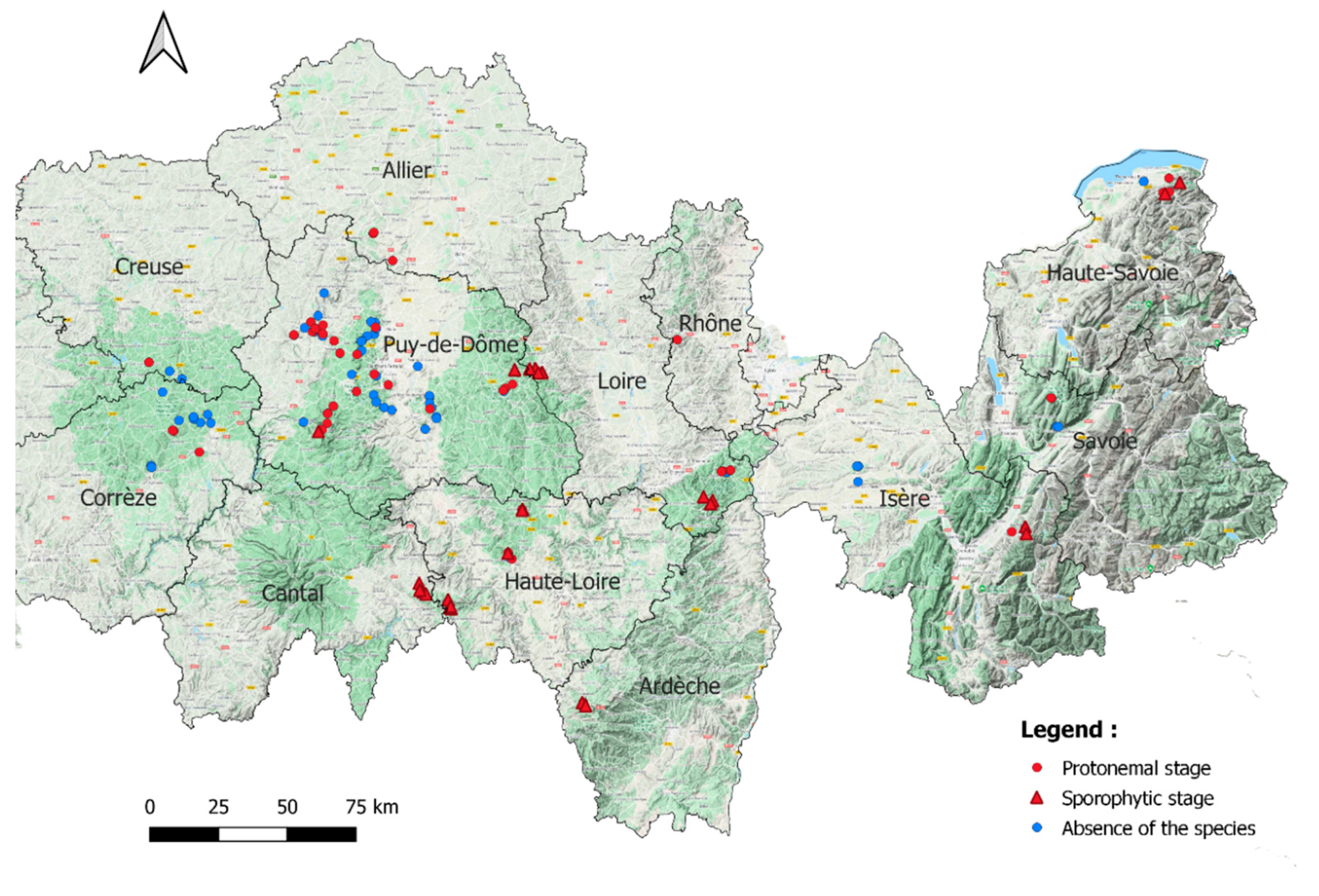 Plants 10 00083 g001