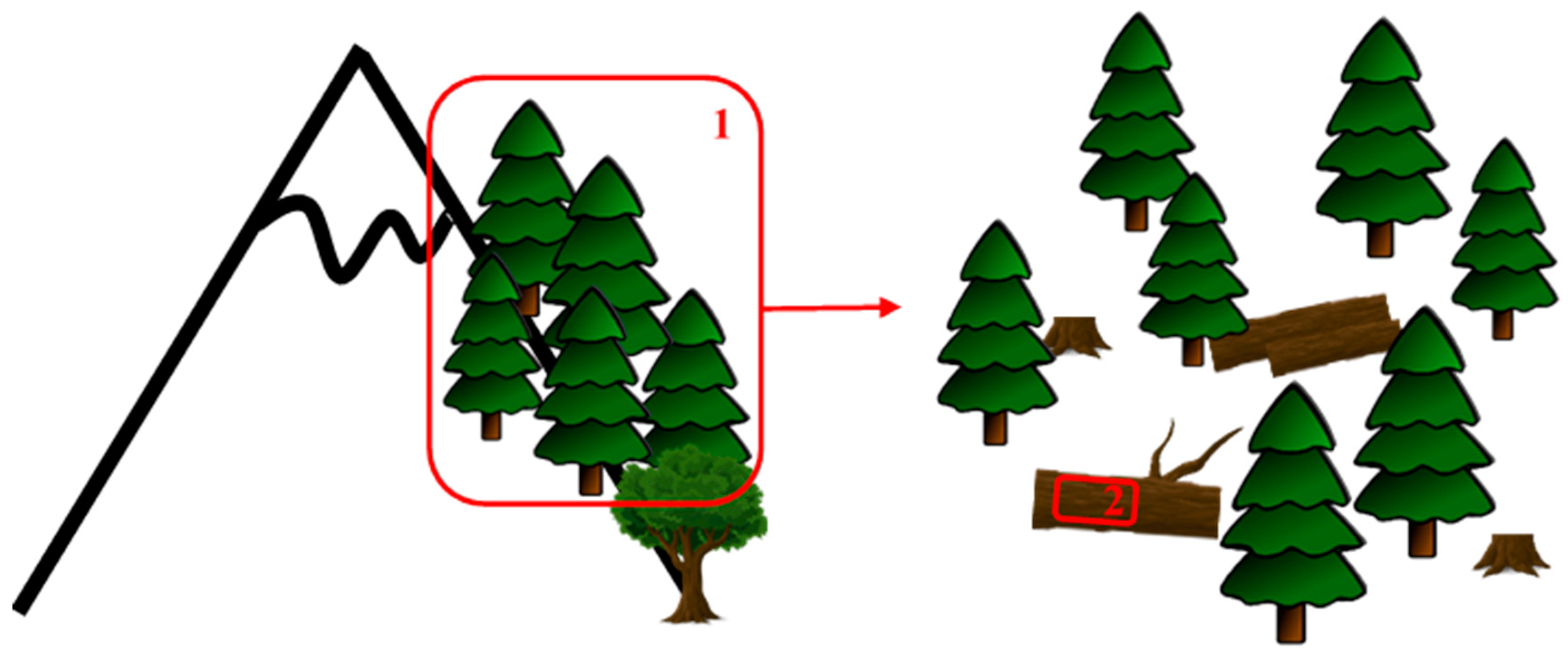 Plants 10 00083 g007