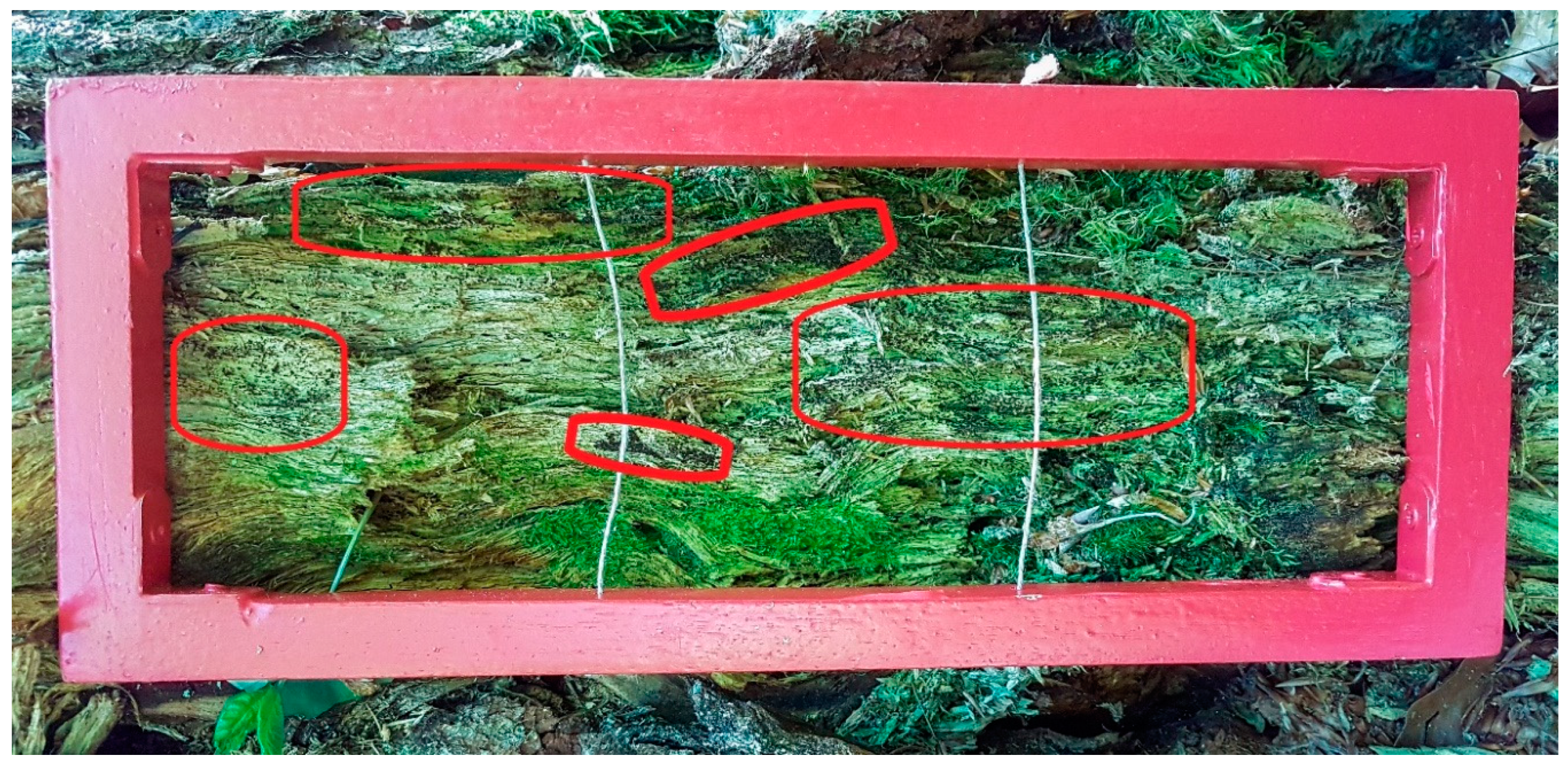 Plants 10 00083 g008