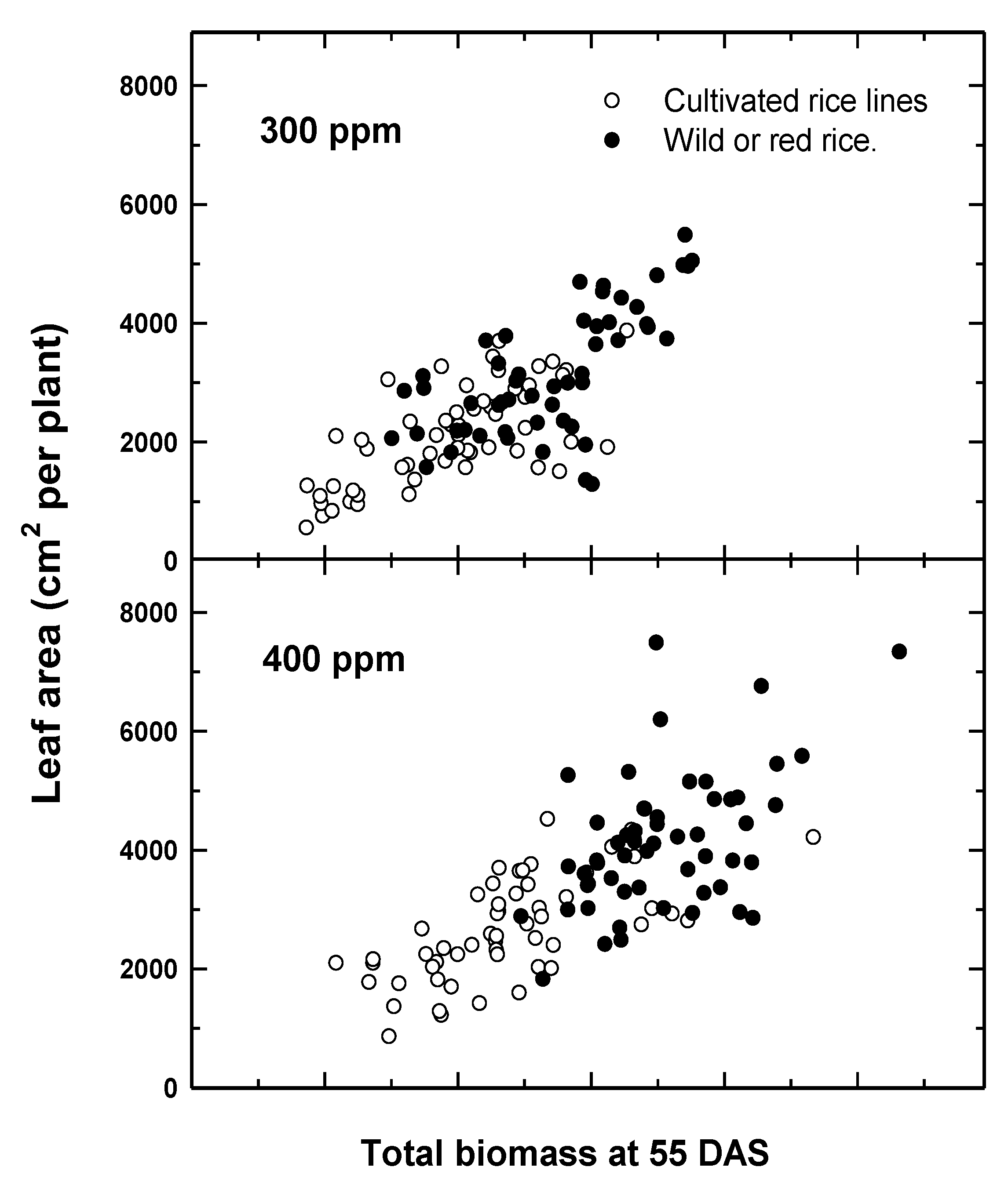 Plants 10 00088 g001
