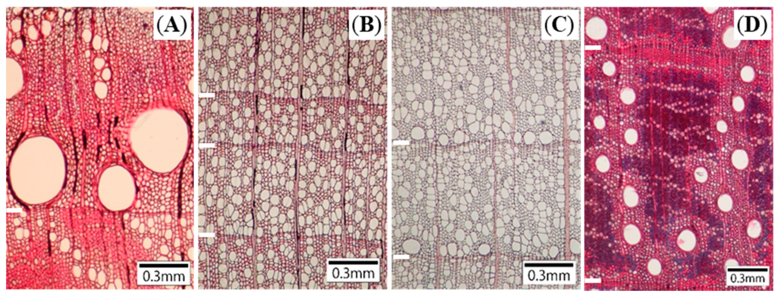 Plants 10 00100 g003