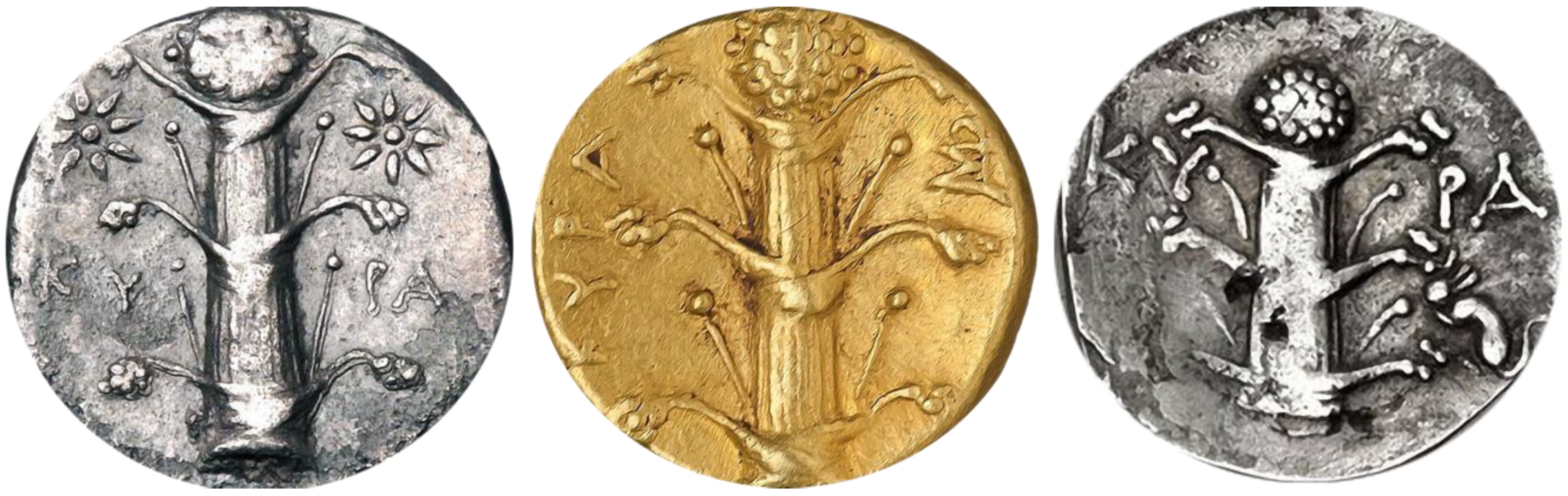 Plants 10 00102 g006