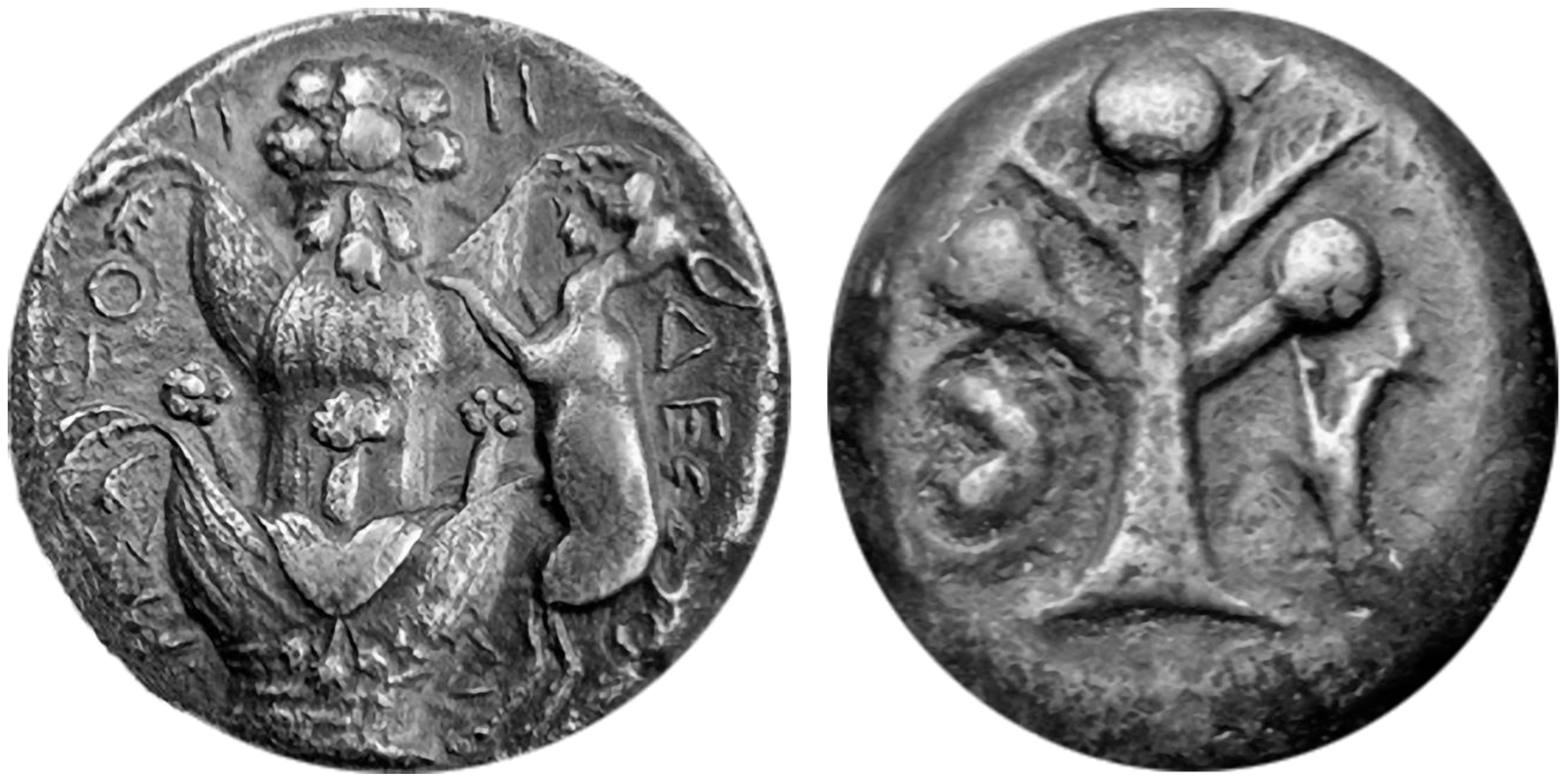 Plants 10 00102 g013