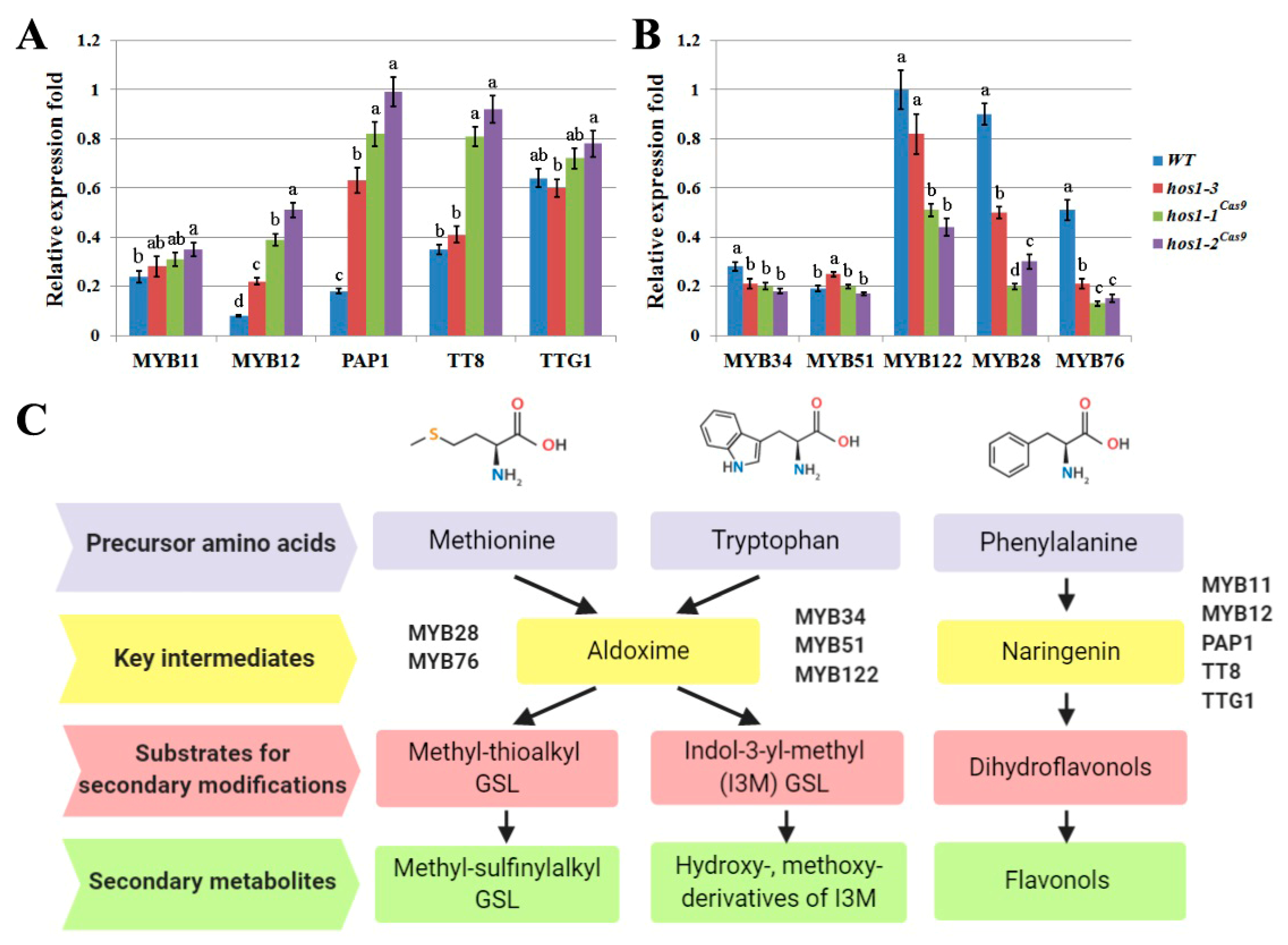 Plants 10 00104 g005 Plants 10 00104 g005