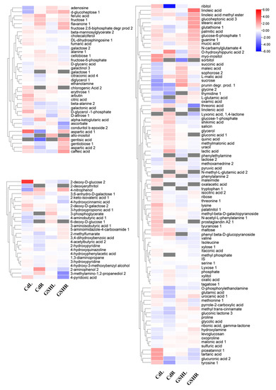 how does glutathione protect from reactive oxygen The role of glutathione reductase and related enzymes on cellular redox  homoeostasis network
