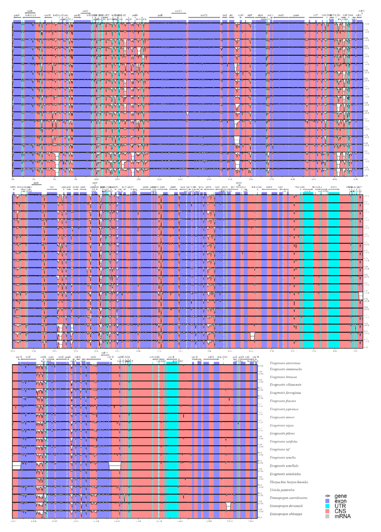 Plants 10 00109 g006