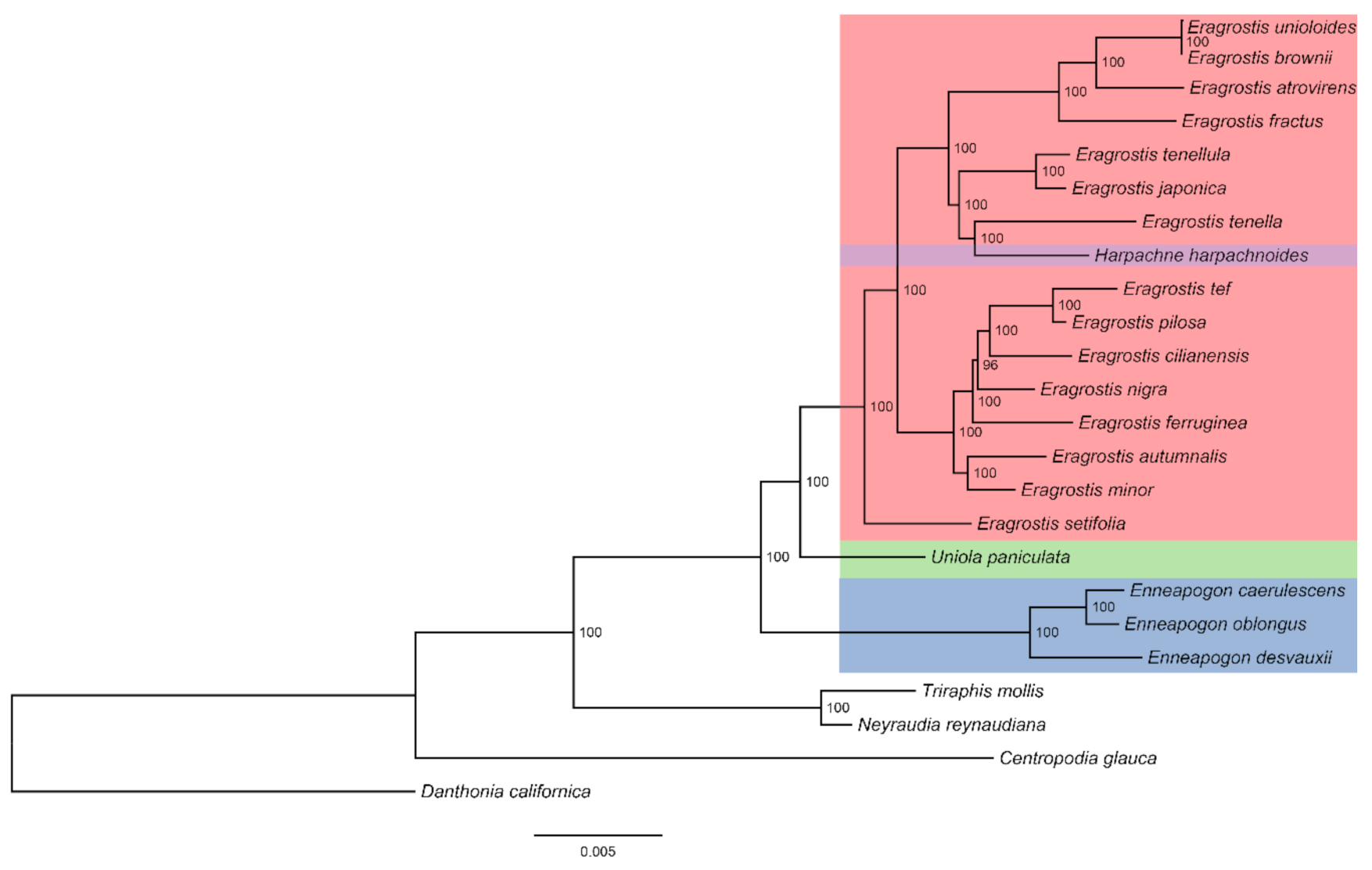 Plants 10 00109 g008