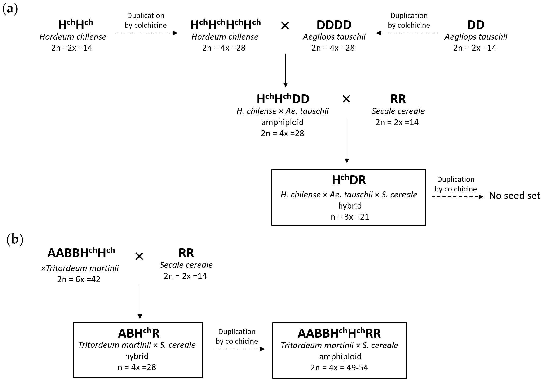 Plants 10 00113 g001