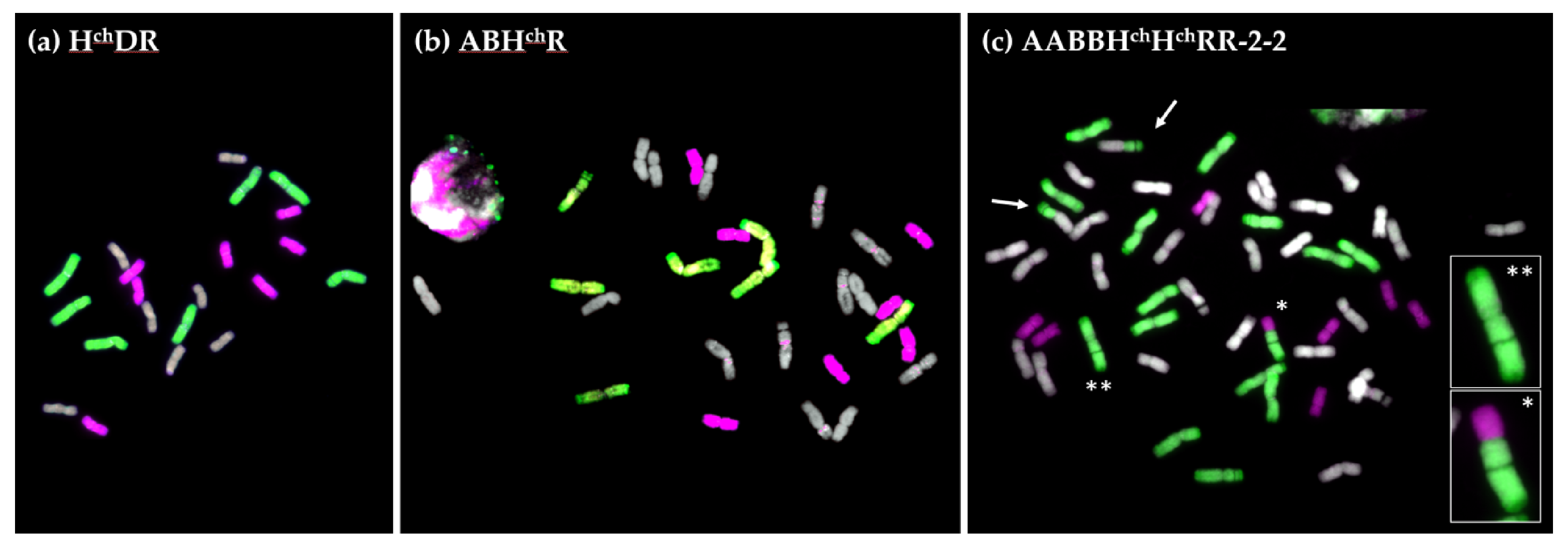 Plants 10 00113 g002