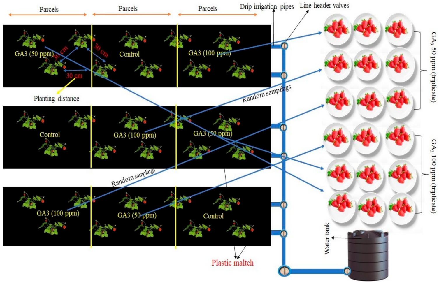 Plants 10 00121 g003
