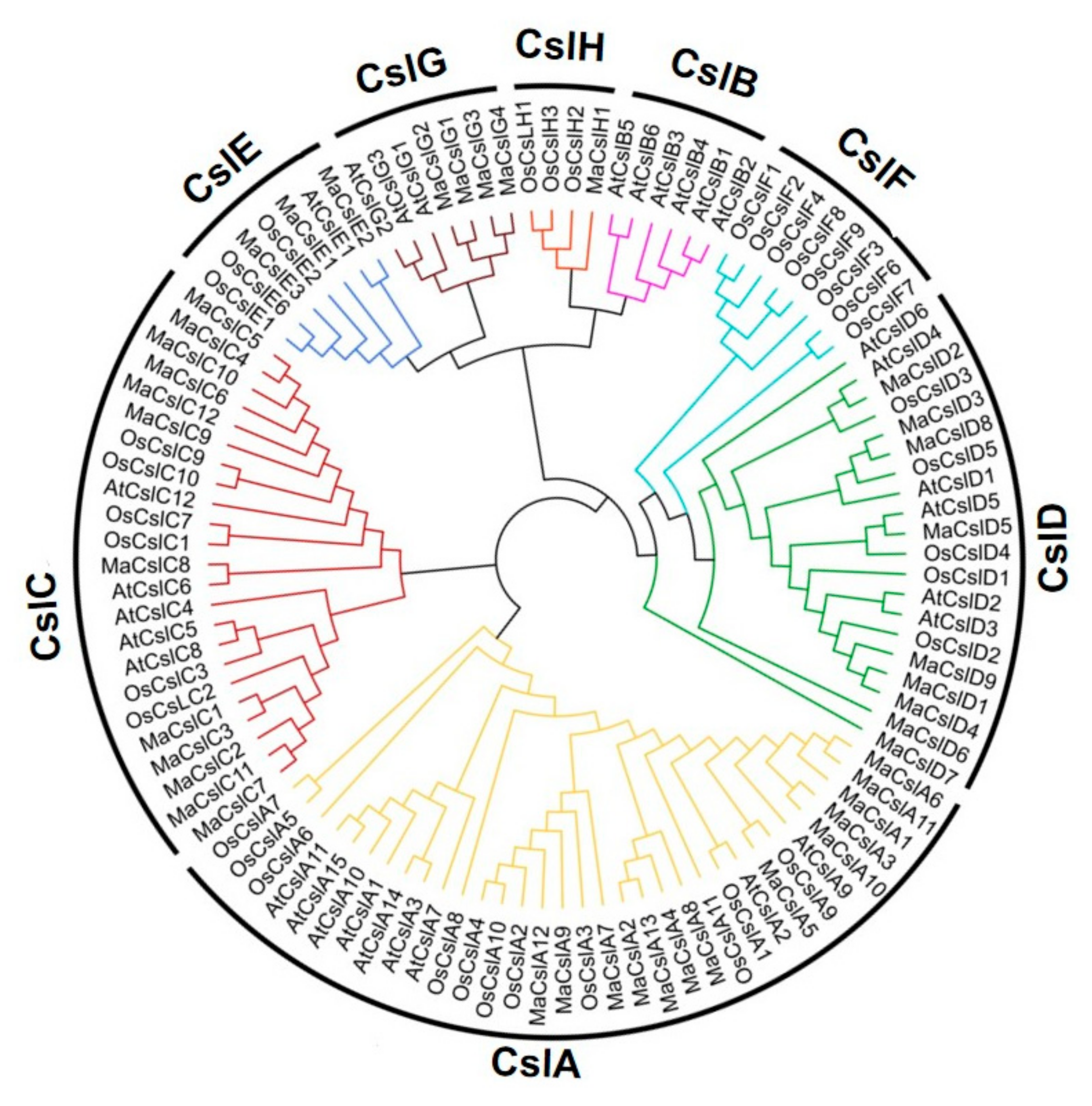 Plants 10 00122 g002 Plants 10 00122 g002