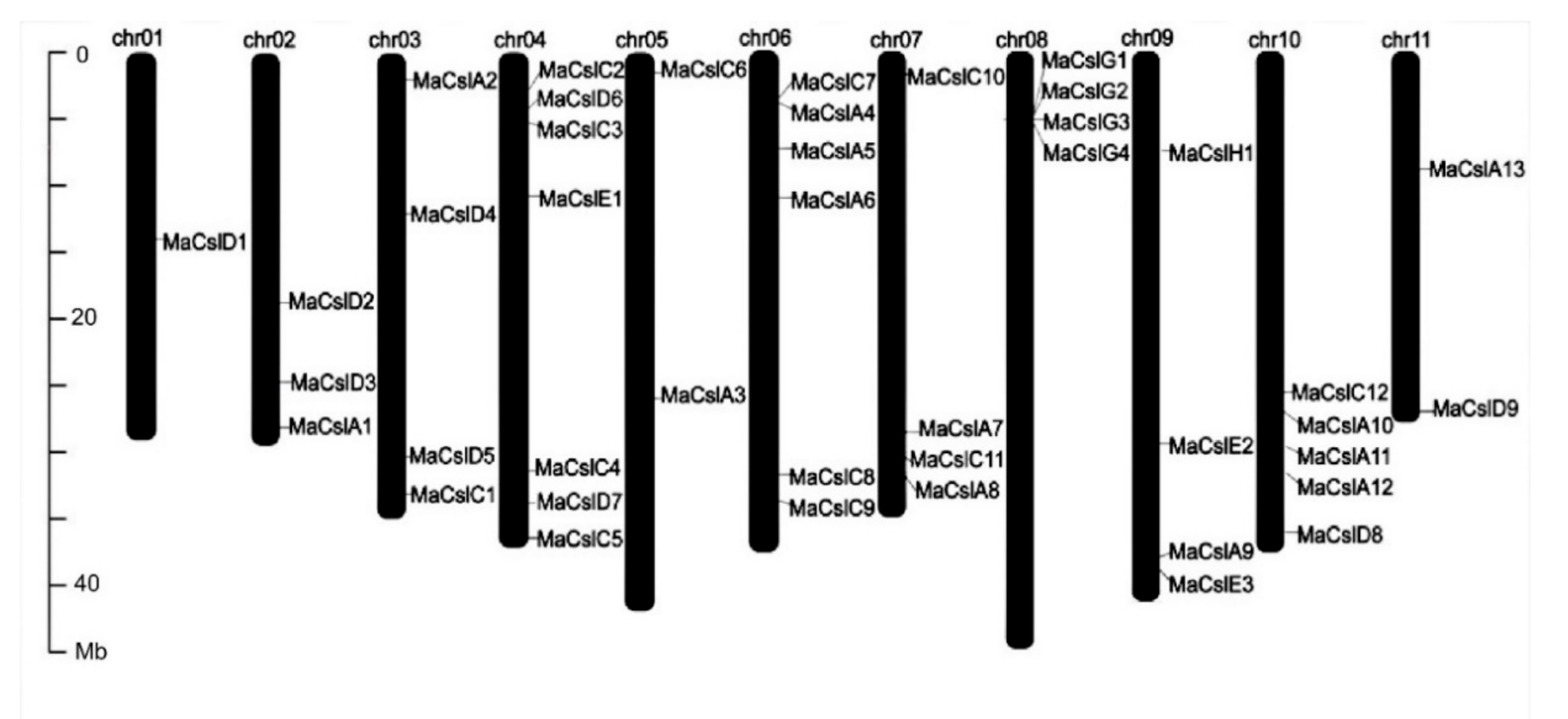 Plants 10 00122 g003 Plants 10 00122 g003