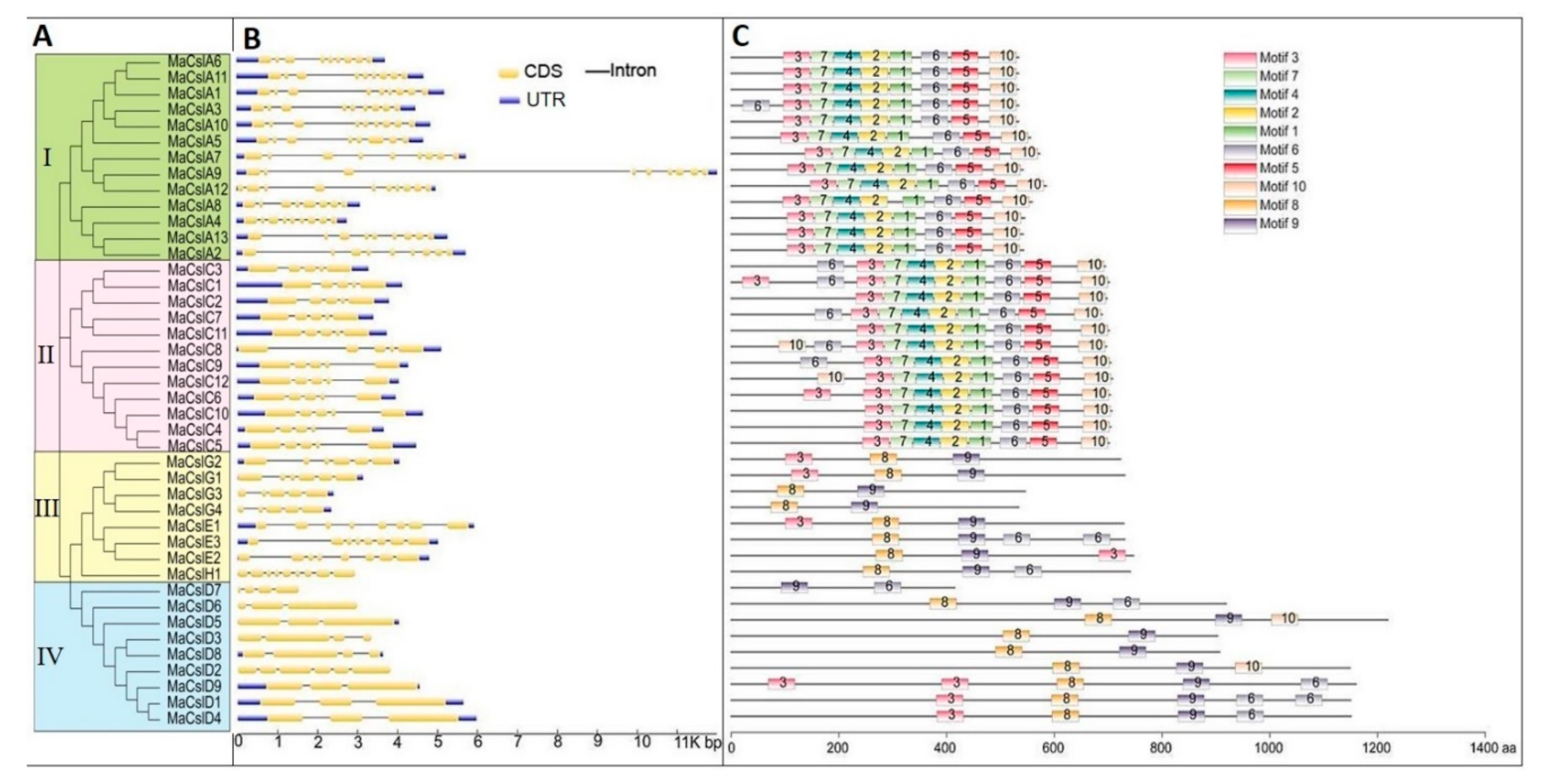 Plants 10 00122 g004 Plants 10 00122 g004