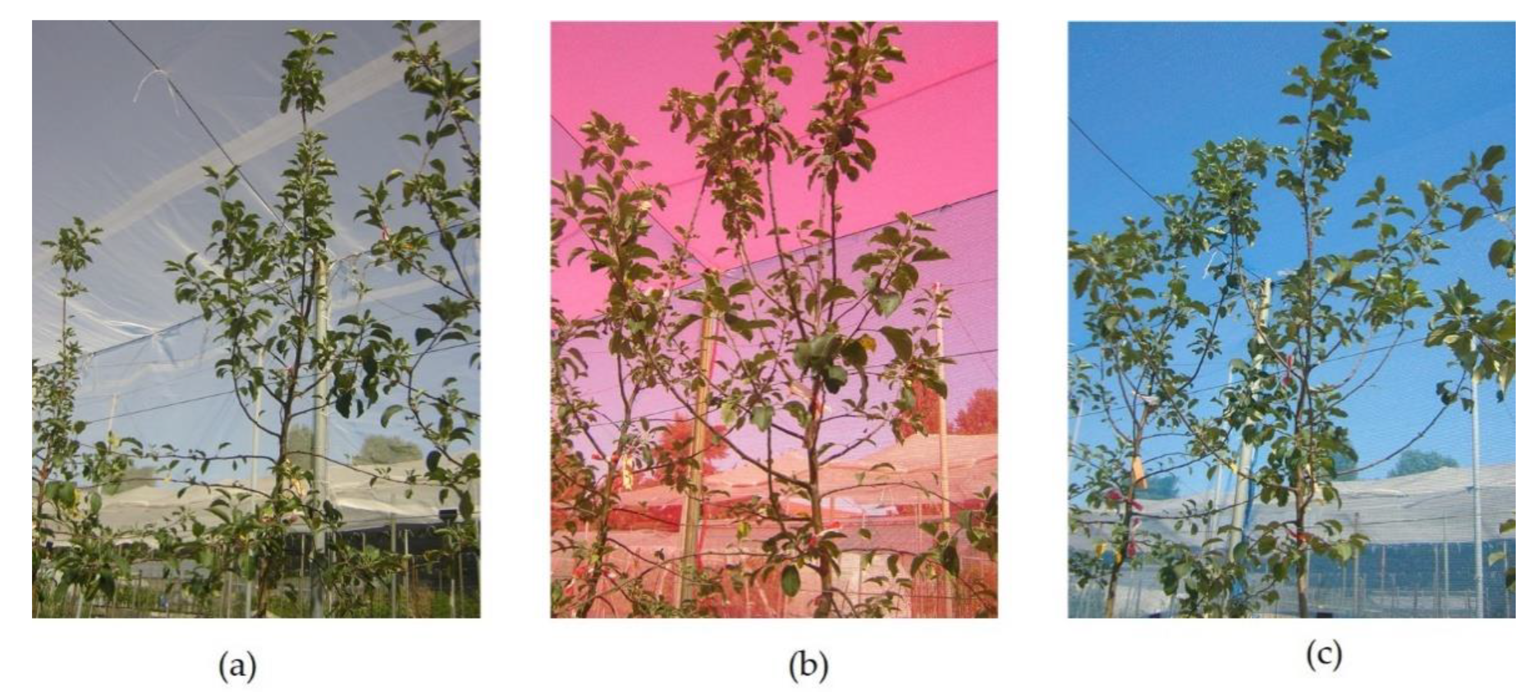 Plants 10 00127 g009