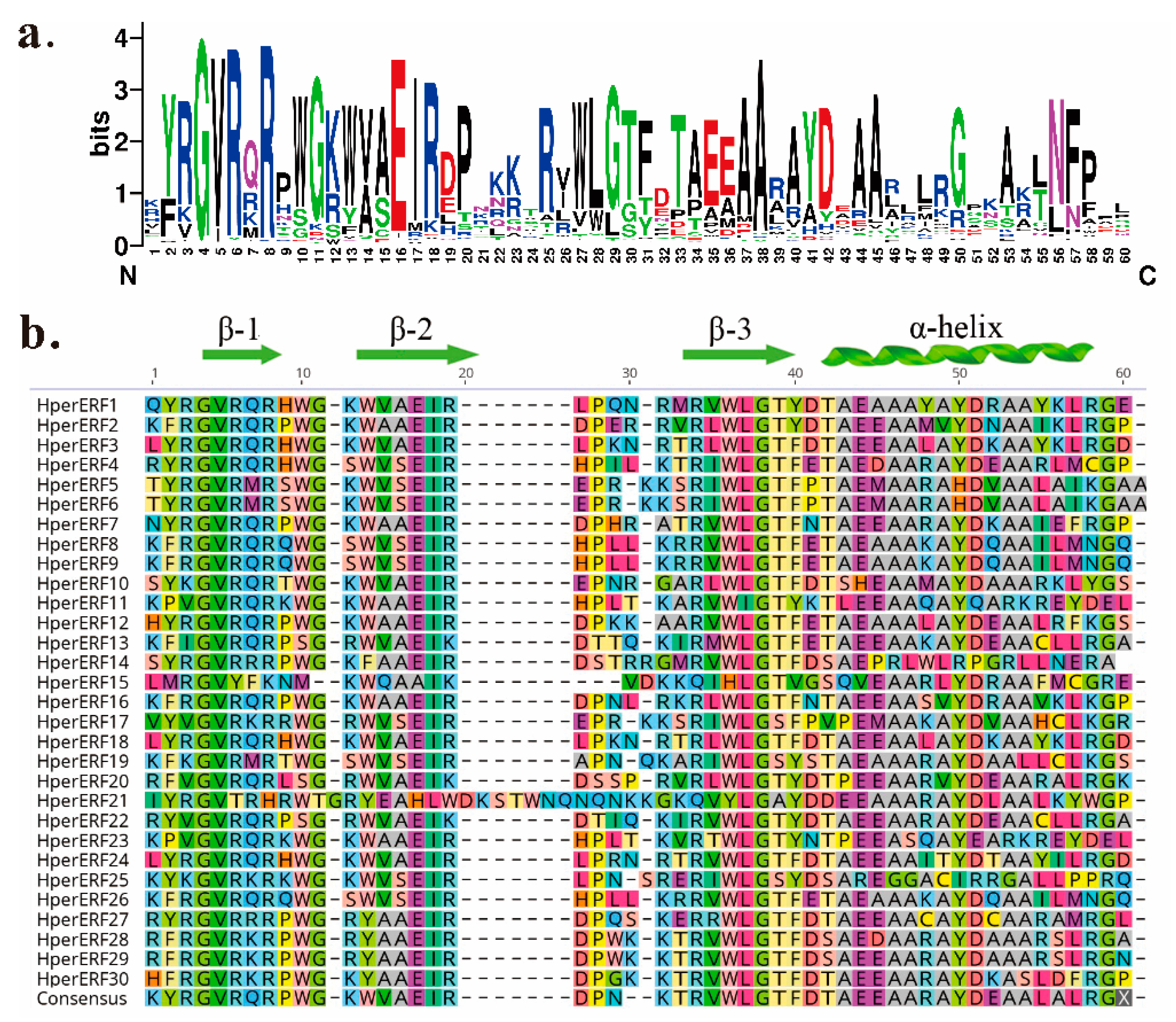 Epigenetic Regulation of MicroRNA Clusters and Families