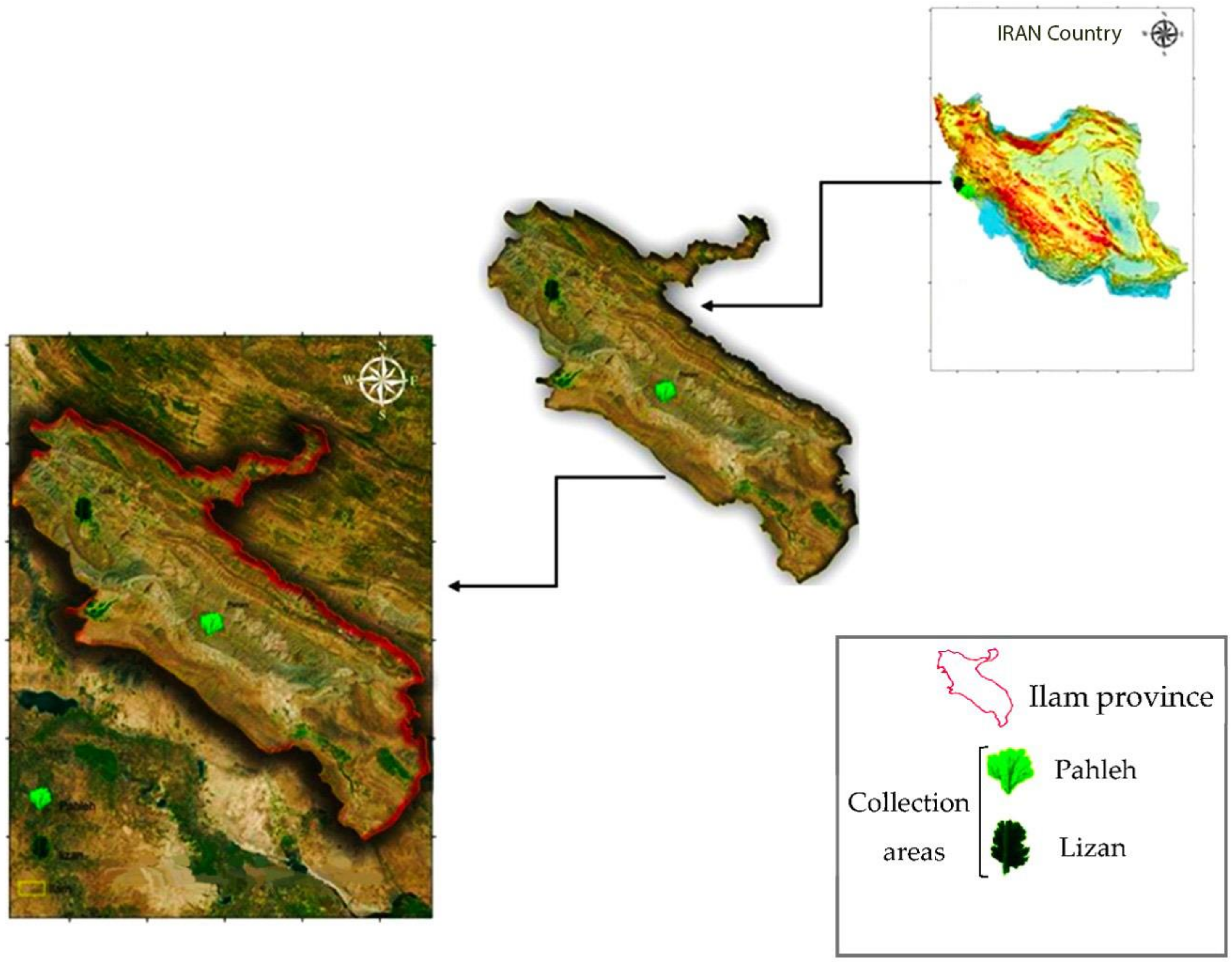 Plants 10 00135 g003