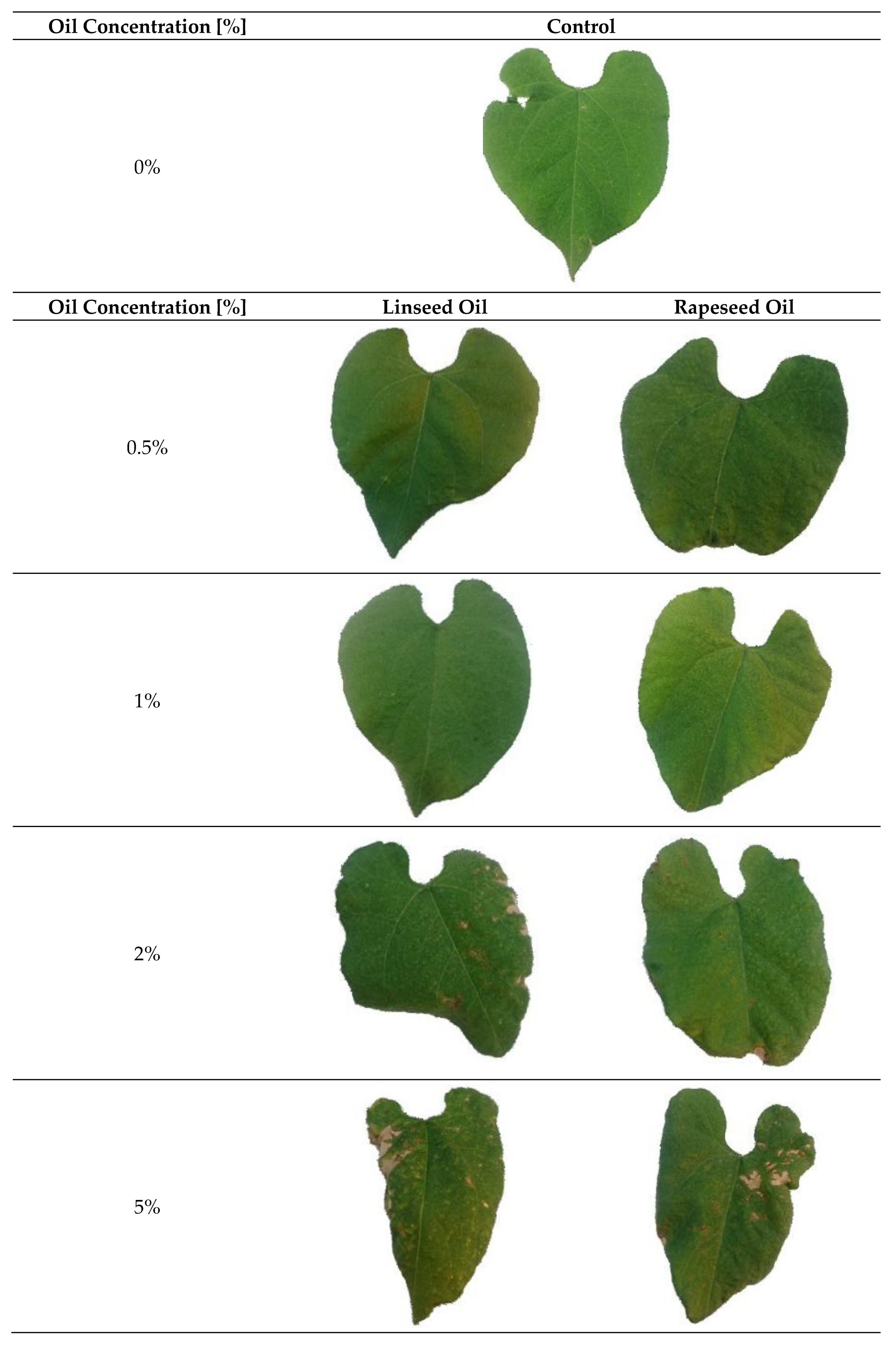 Plants 10 00143 g001 Plants 10 00143 g001