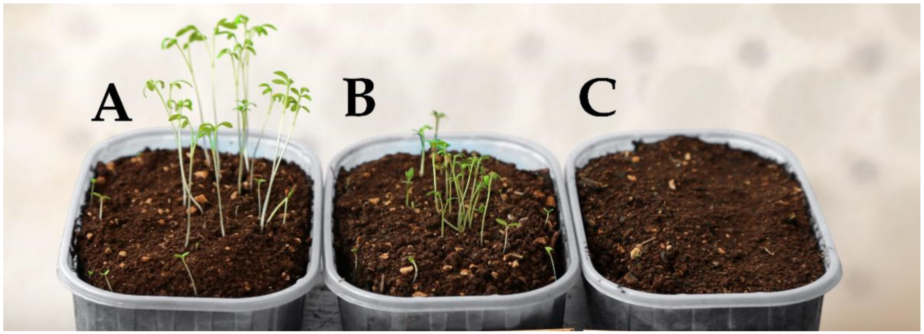 Plants 10 00147 g001