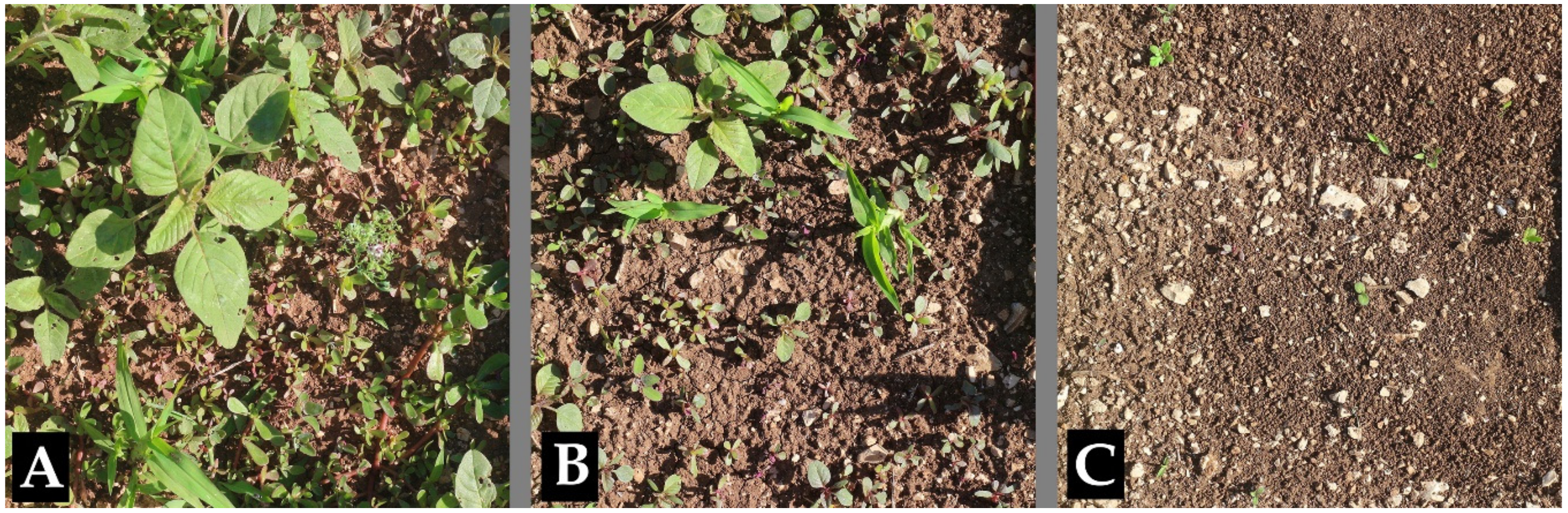 Plants 10 00147 g003