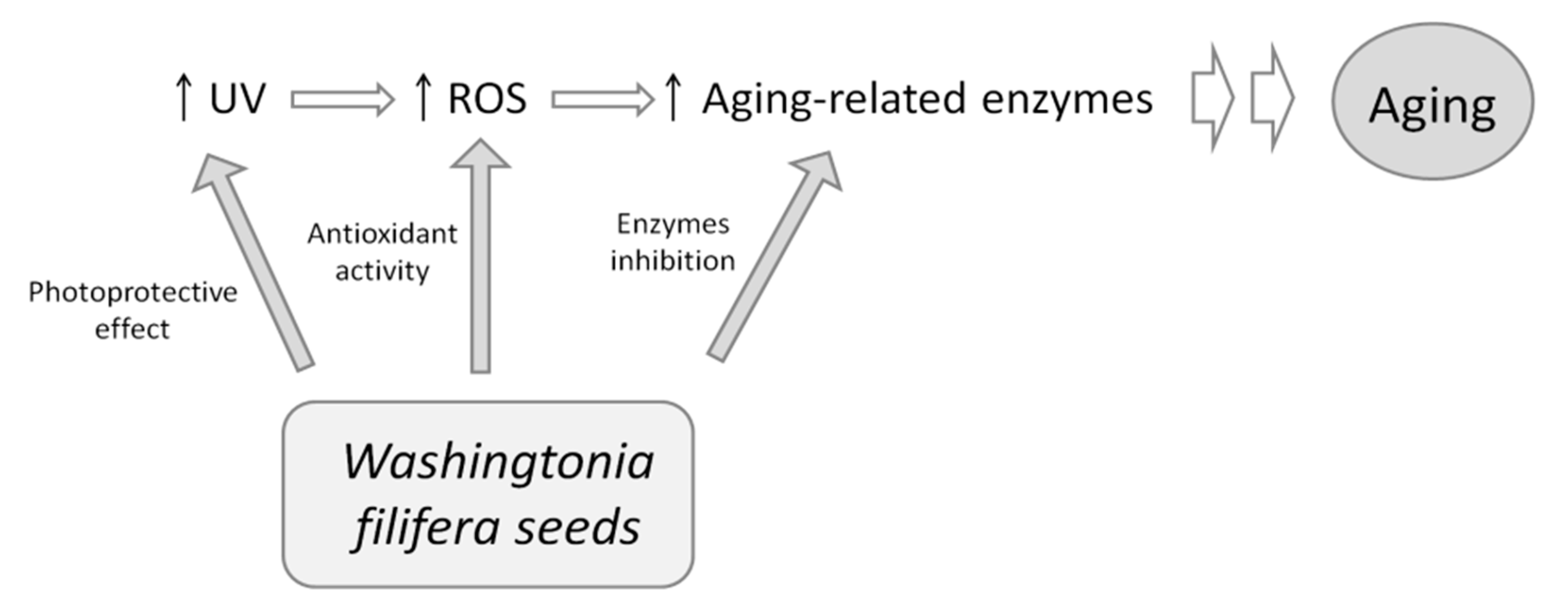 Plants 10 00151 g006
