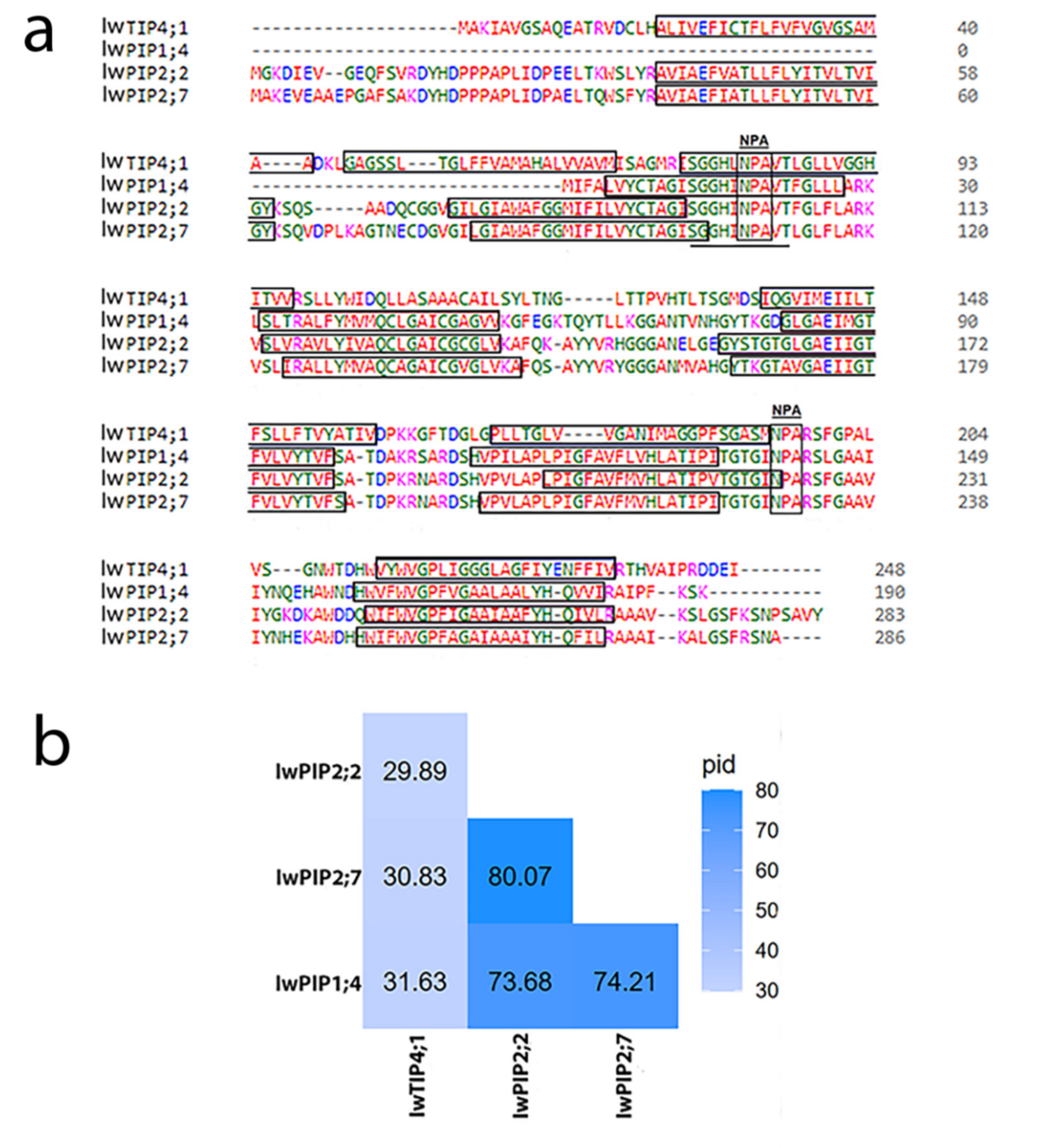 Plants 10 00154 g001 Plants 10 00154 g001