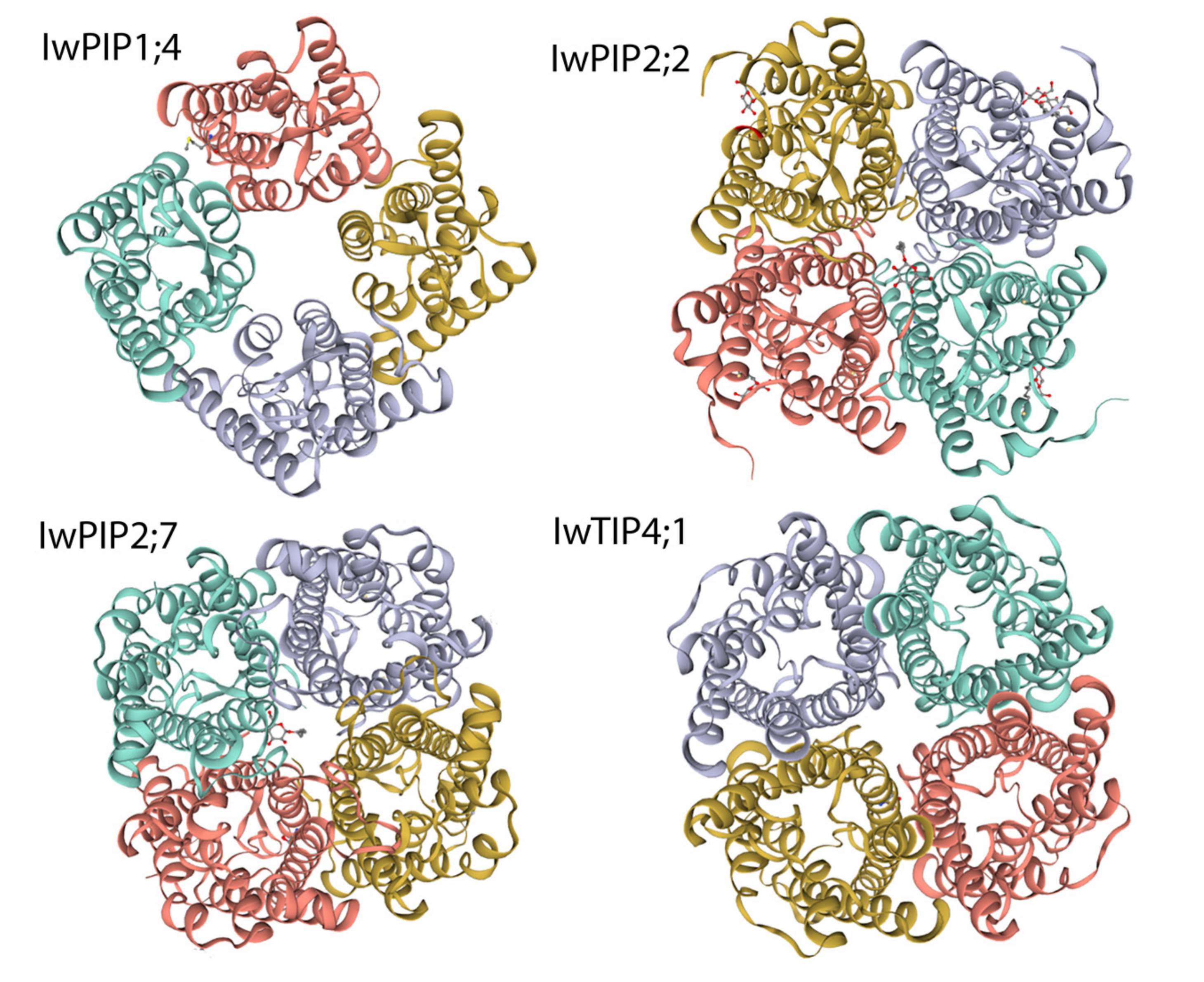Plants 10 00154 g006 Plants 10 00154 g006