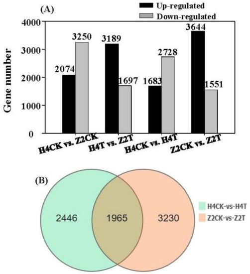 Comparative Transcriptome Analysis Provides New Insights