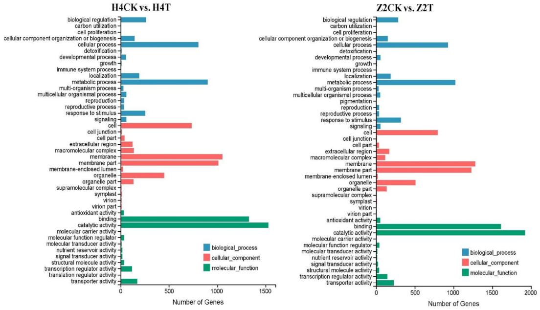 Plants 10 00160 g004