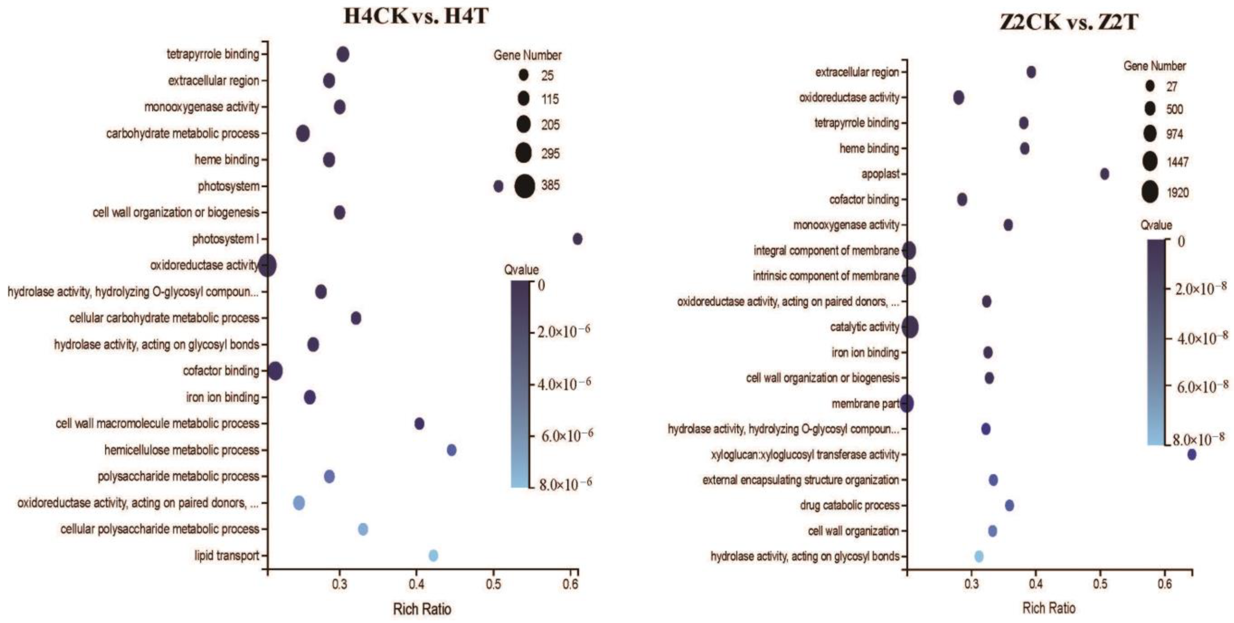 Plants 10 00160 g005