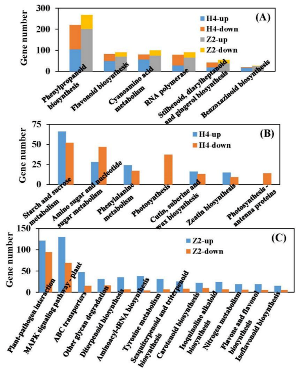 Plants 10 00160 g007