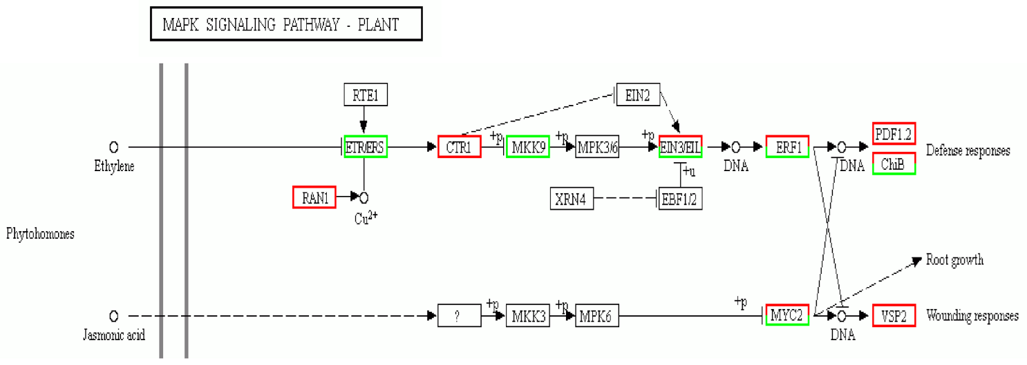 Plants 10 00160 g008